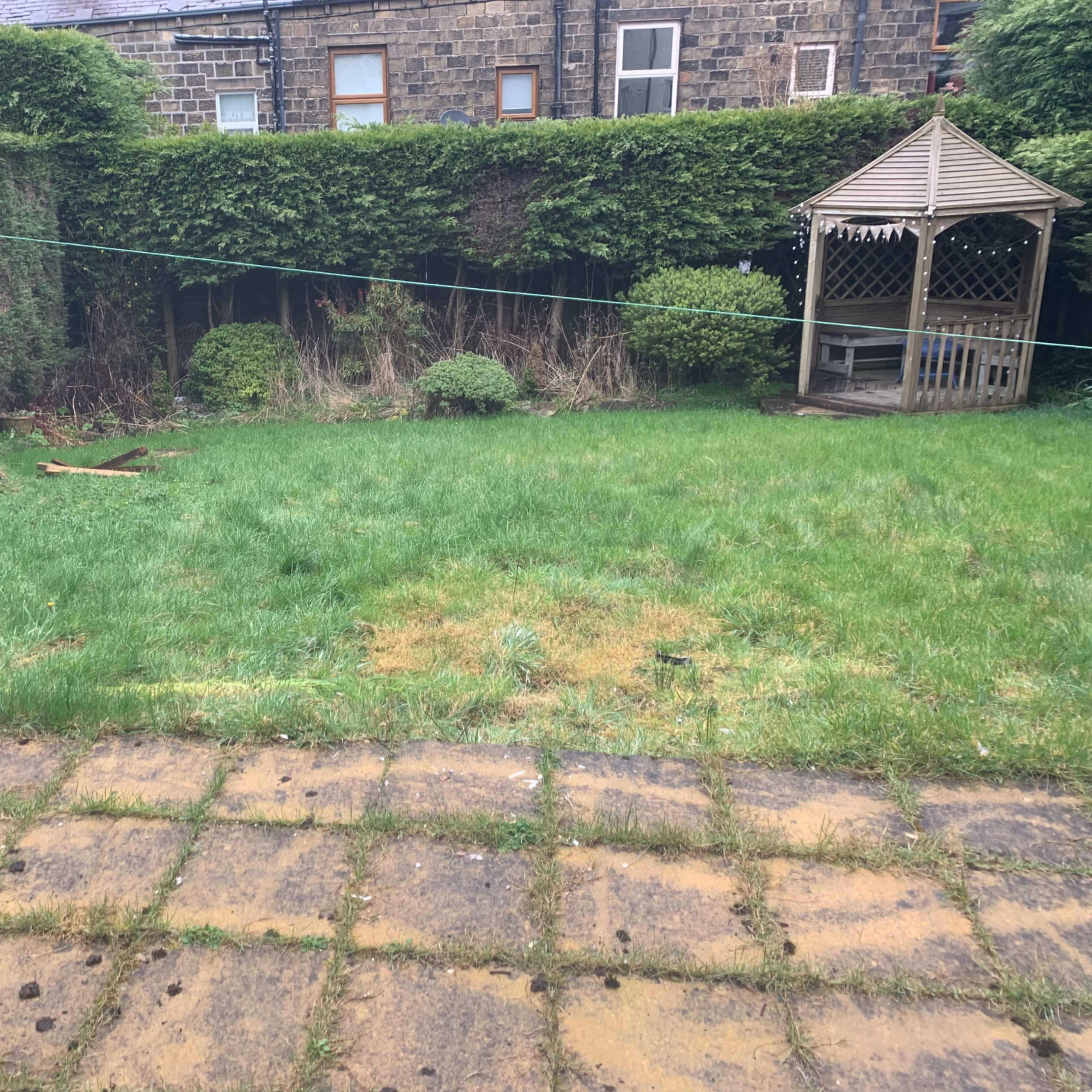 A grassy backyard with a wooden gazebo and low shrubs, bordered by a stone patio.