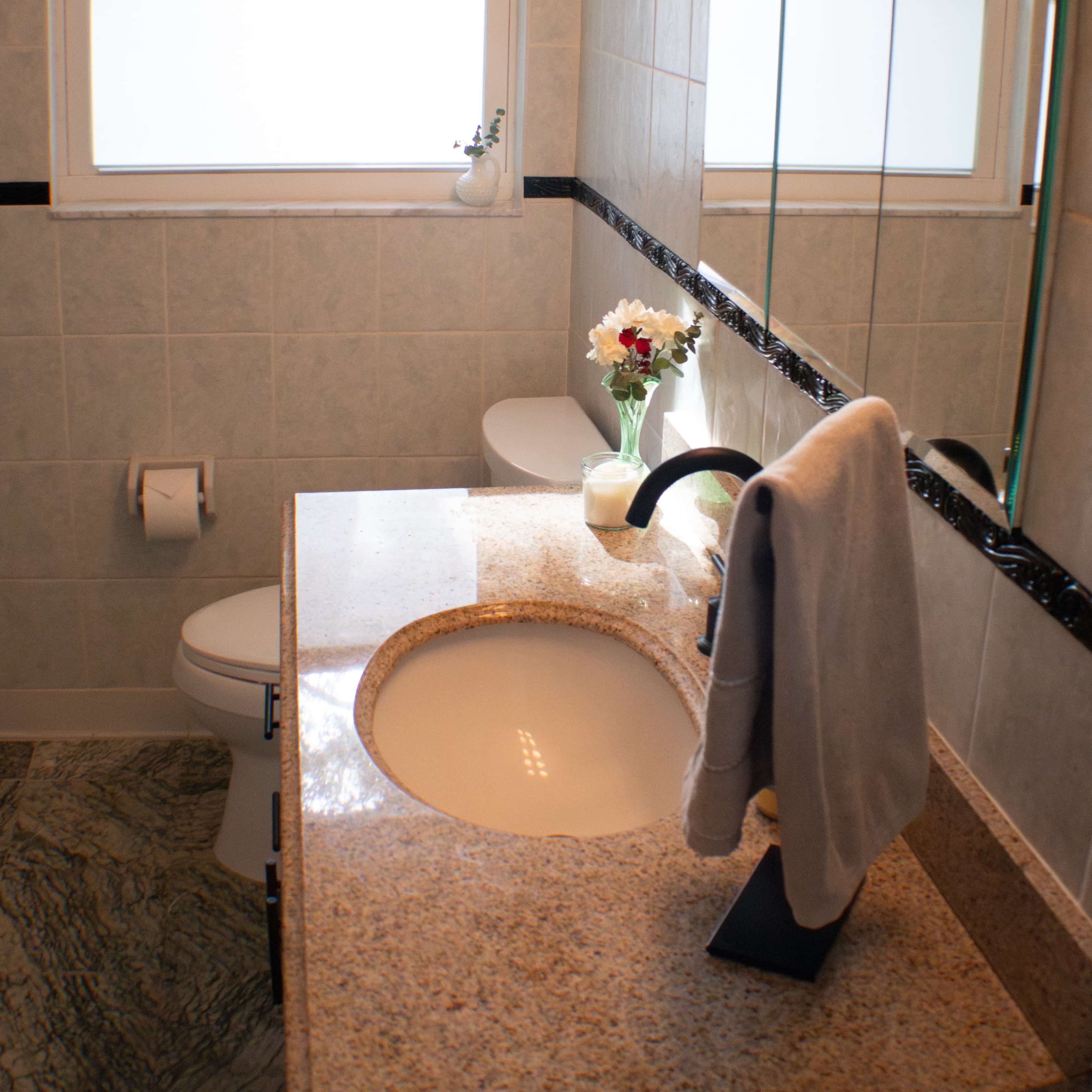 A bathroom features a granite countertop with a sink, a nearby toilet, a mirror, and a vase of flowers on the counter.