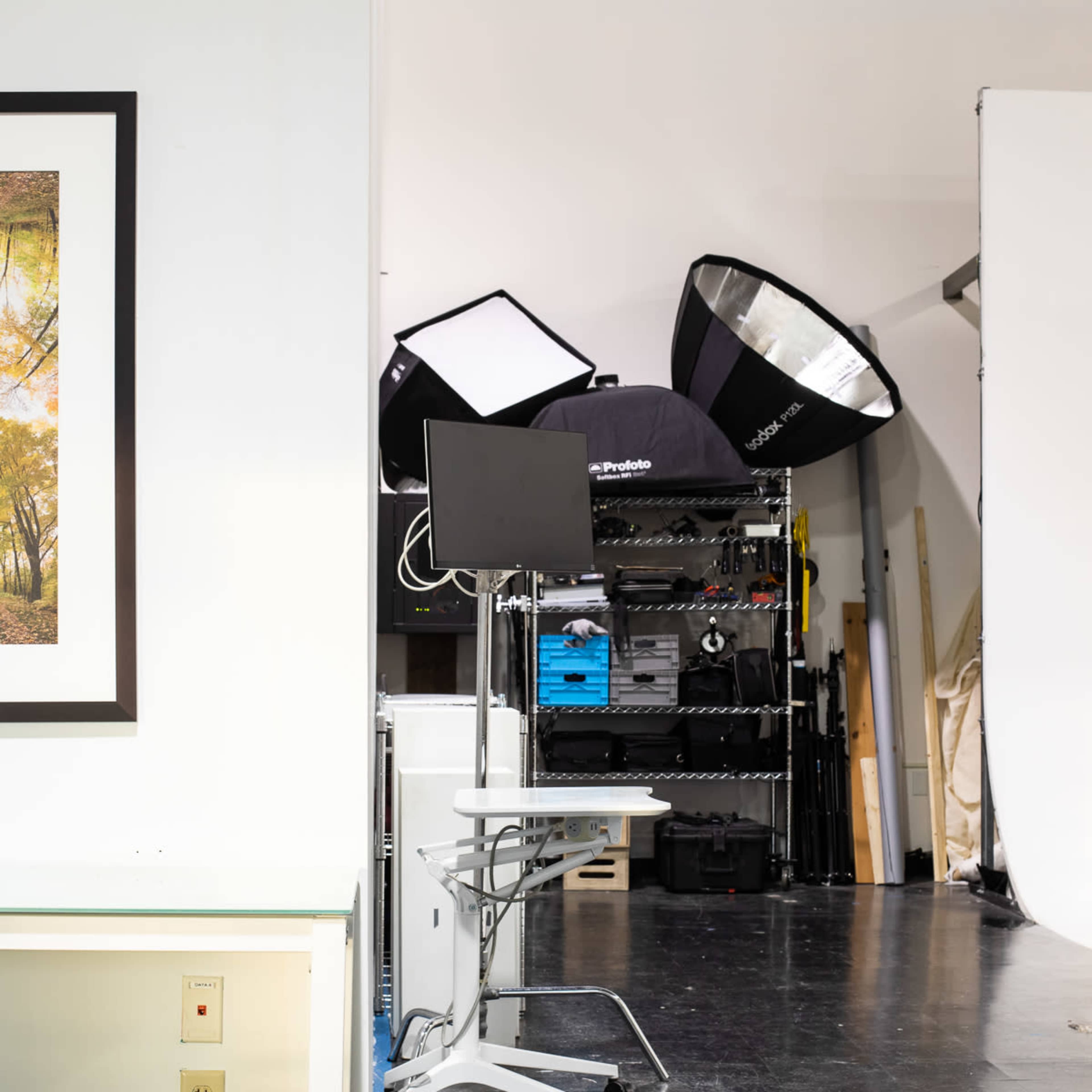 A studio setup with a framed picture of a forest on the left and photographic lighting equipment in the background.