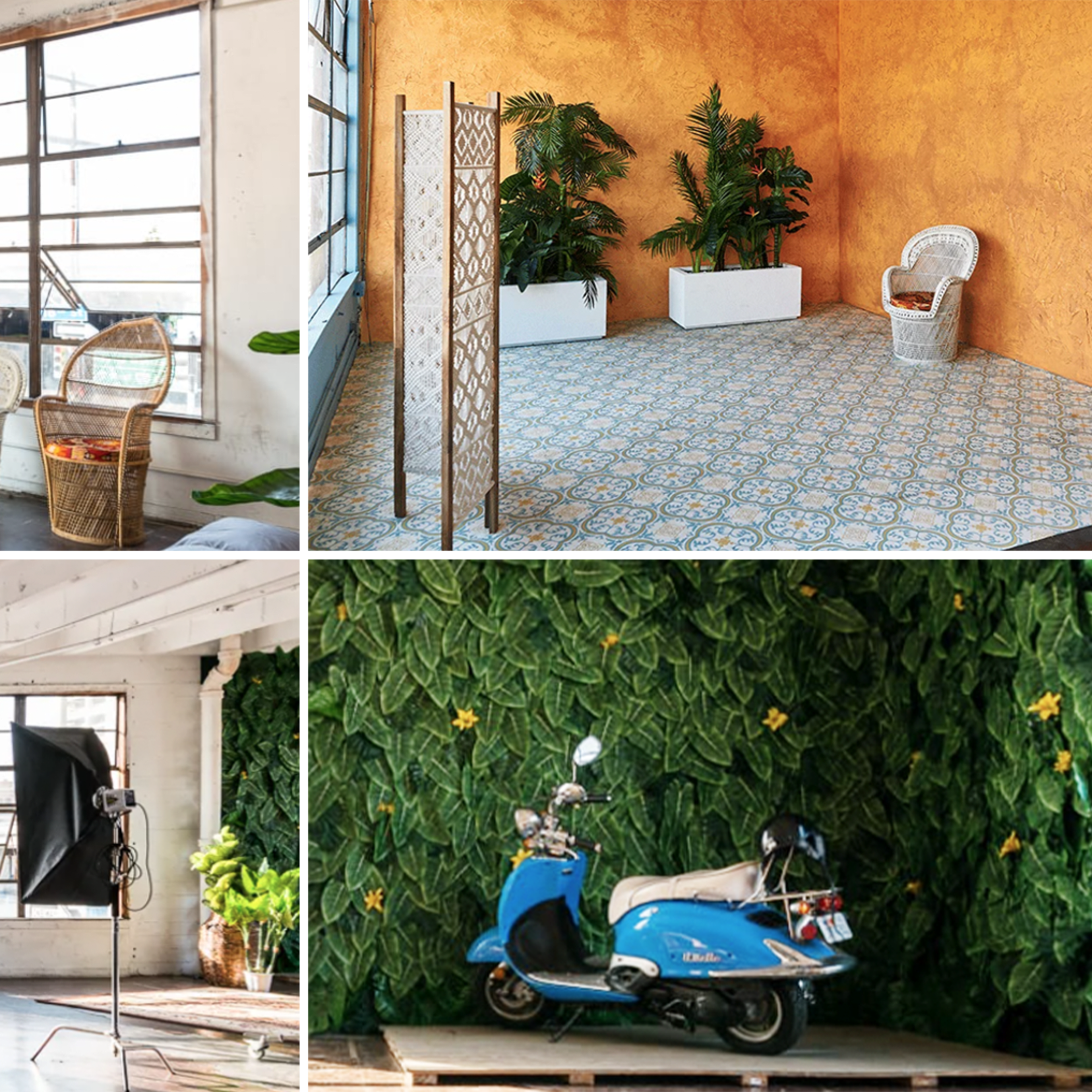 A studio space featuring a green wall of leaves, a blue scooter, decorative plants, and various seating arrangements.