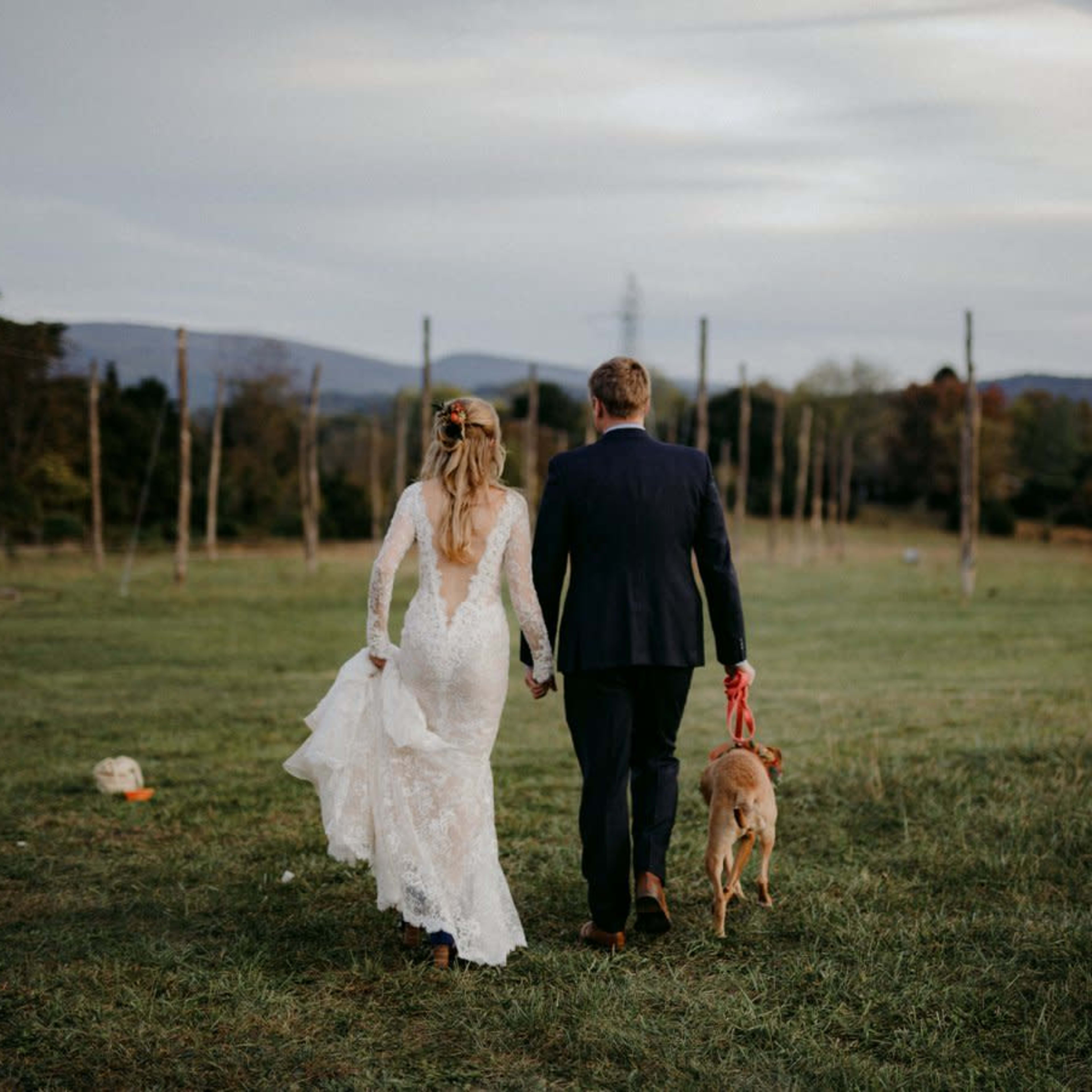 A bride and groom walk hand in hand with a dog in a grassy field surrounded by wooden posts and hills in the background.