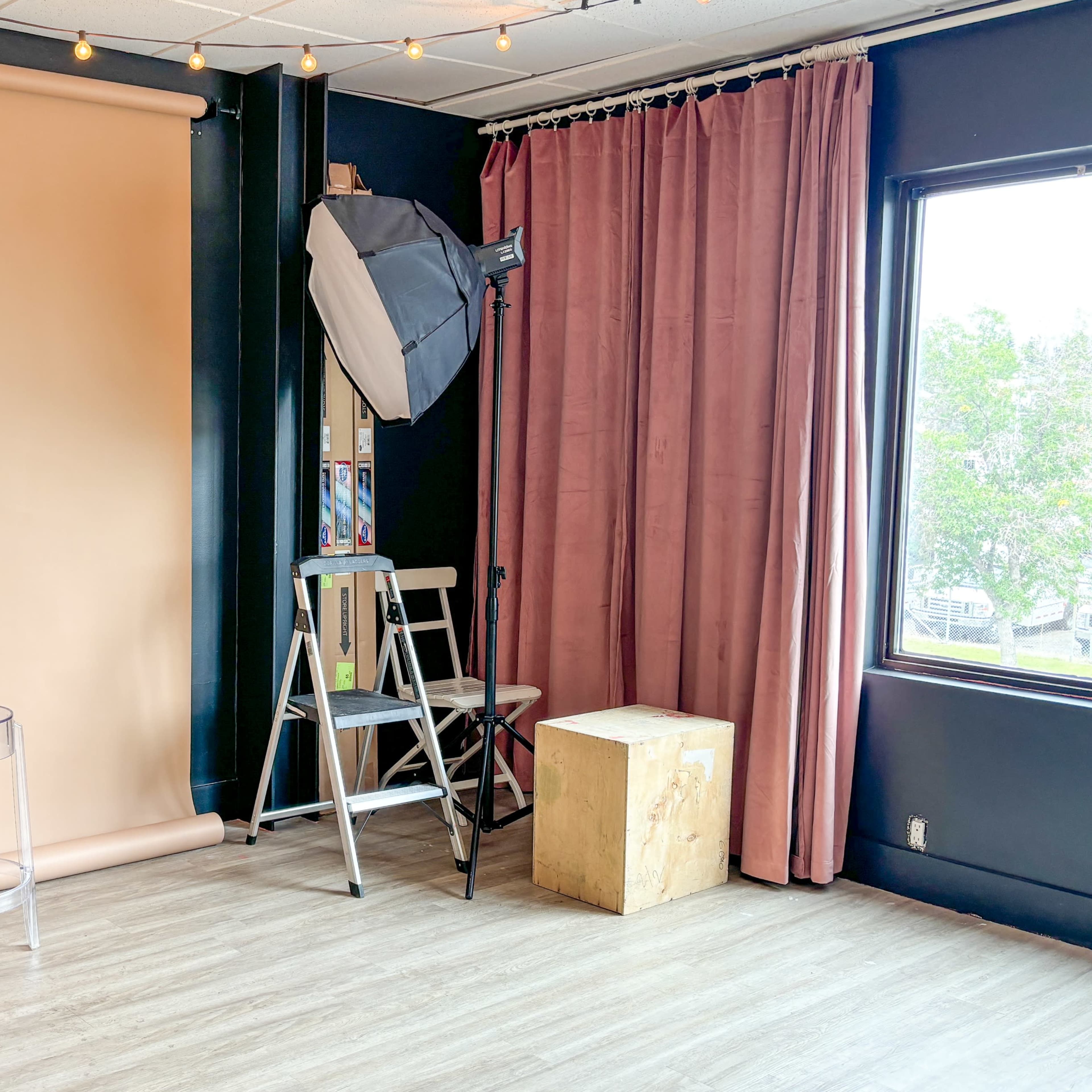 Multi-Set Photo Studio - Vintage Neon Night Garden Image in Calgary, Calgary, AB