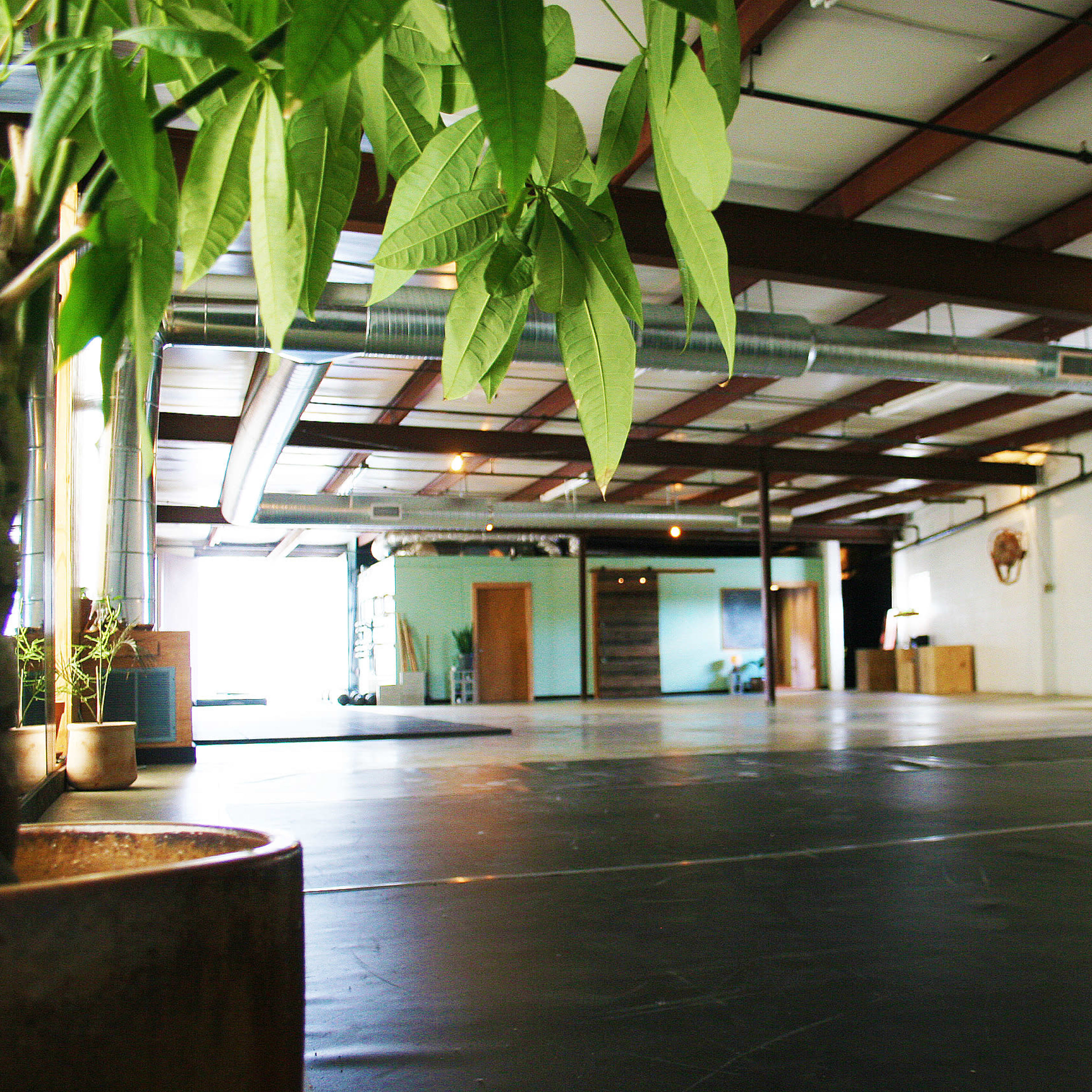 A spacious, empty indoor room with industrial-style exposed beams and a polished black floor, featuring a few decorative plants.