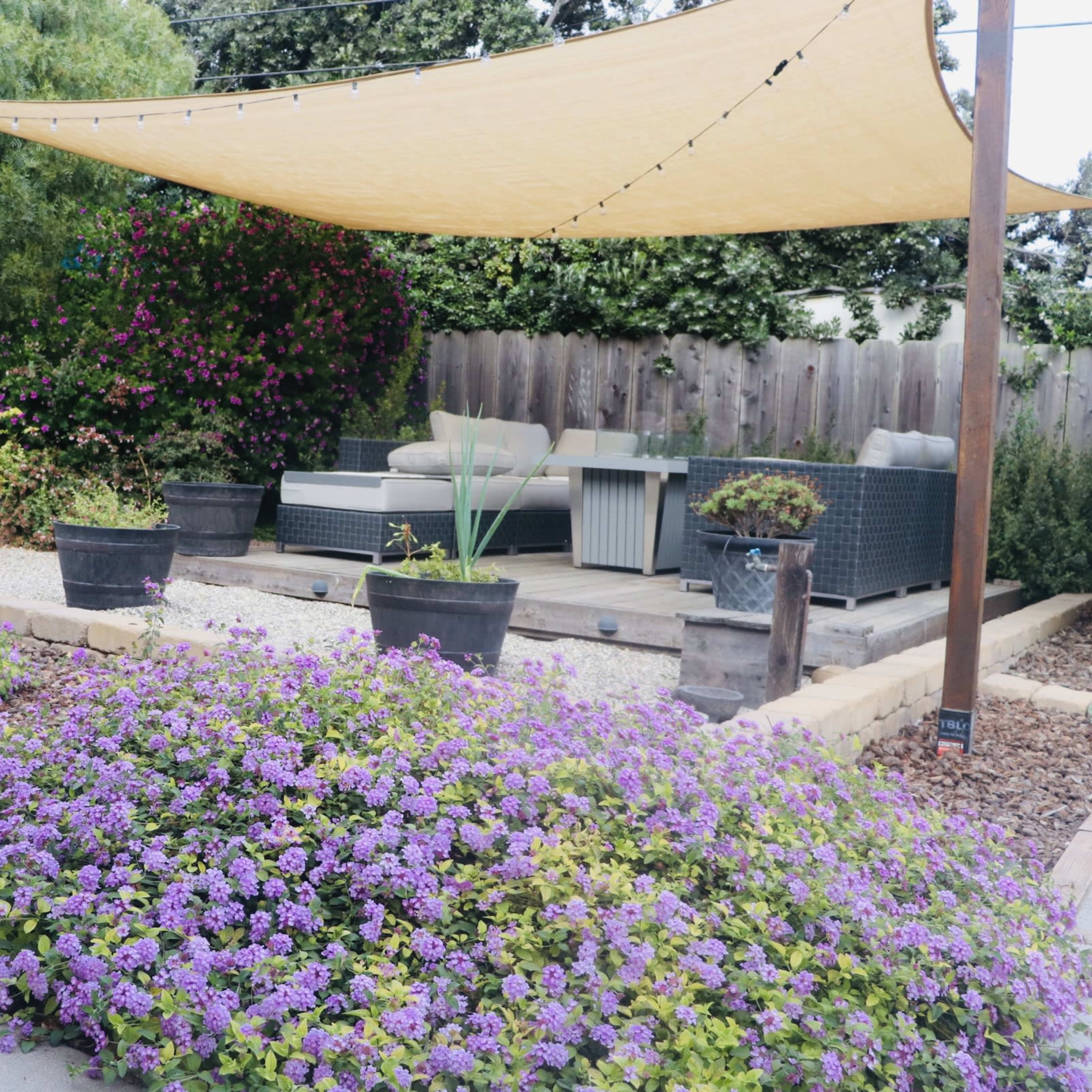 A shaded outdoor seating area is surrounded by vibrant purple flowering plants and potted greenery.