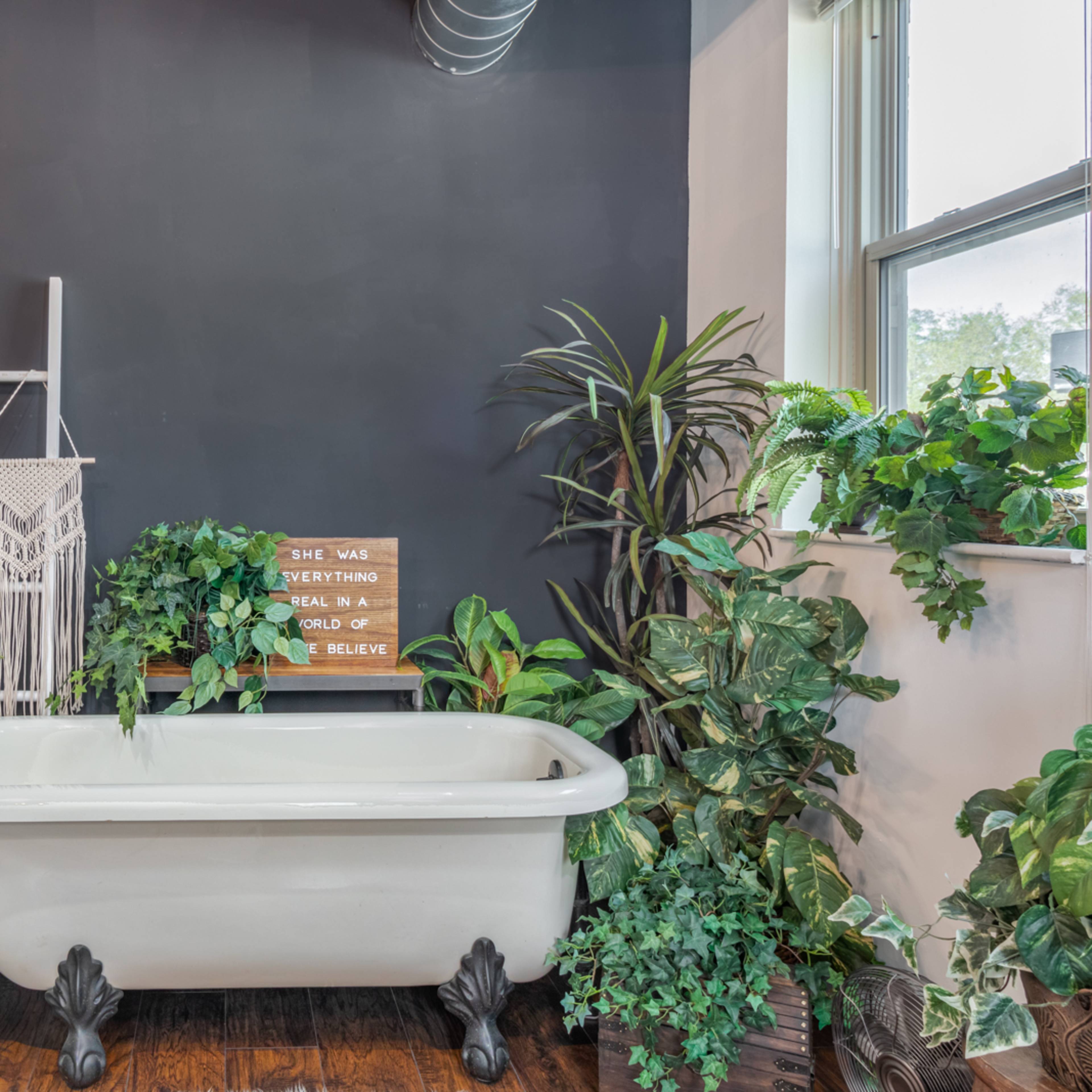A spacious bedroom featuring two chandeliers, a dark color scheme, a large bed, a vintage bathtub, and various plants along the walls.