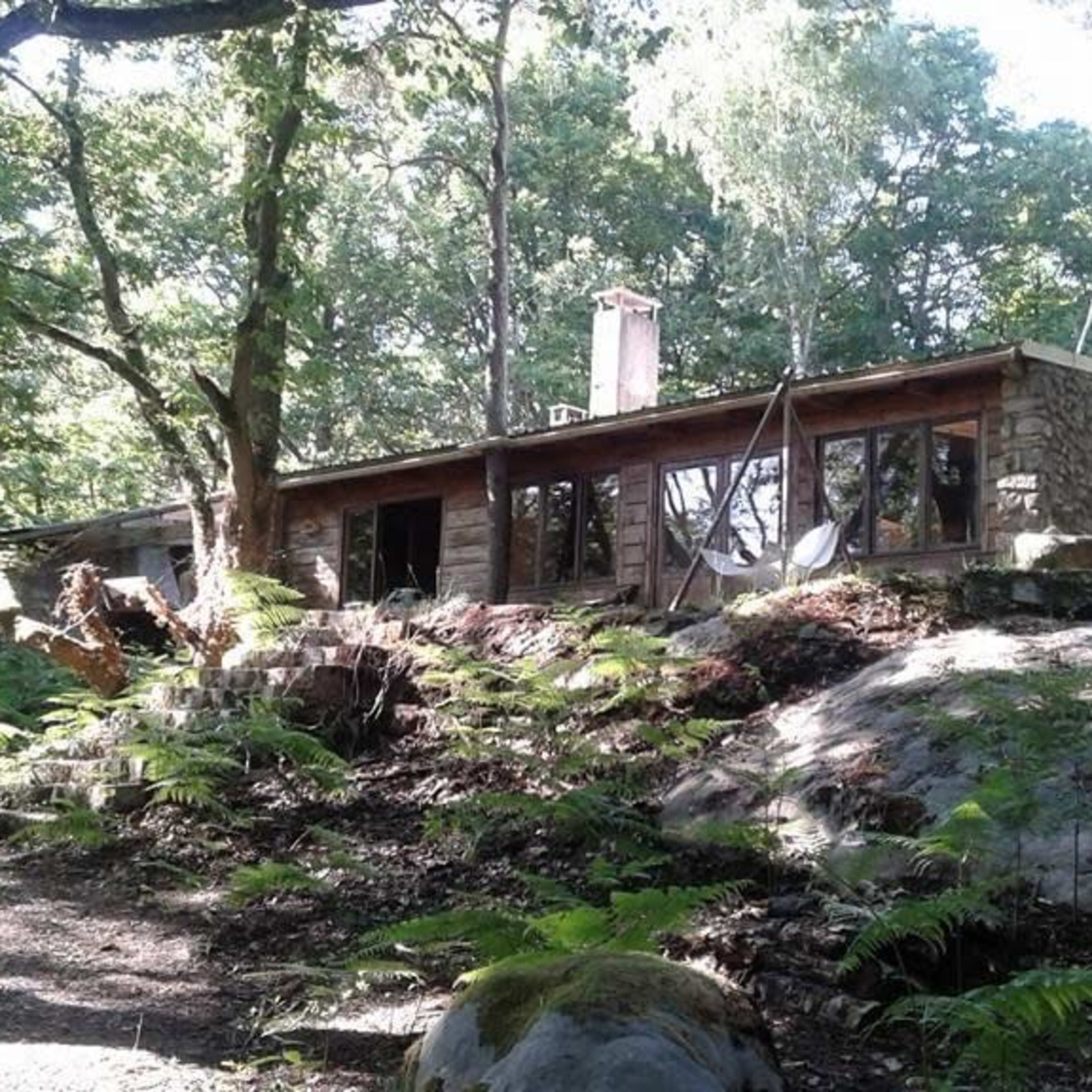A single-story house with wooden and stone elements is nestled among trees and ferns in a forested area.