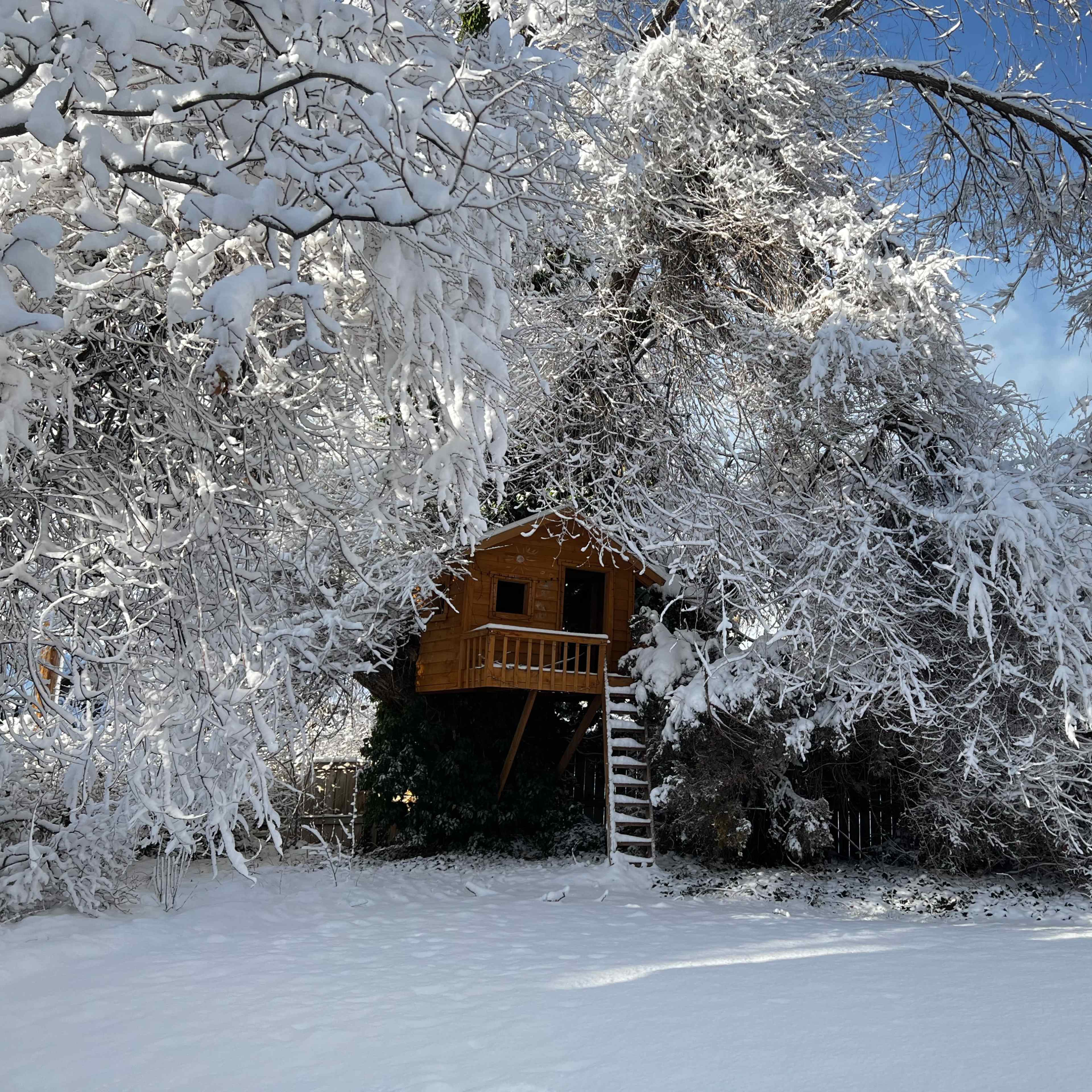 A wooden treehouse is nestled among heavy snow-covered branches in a winter landscape.