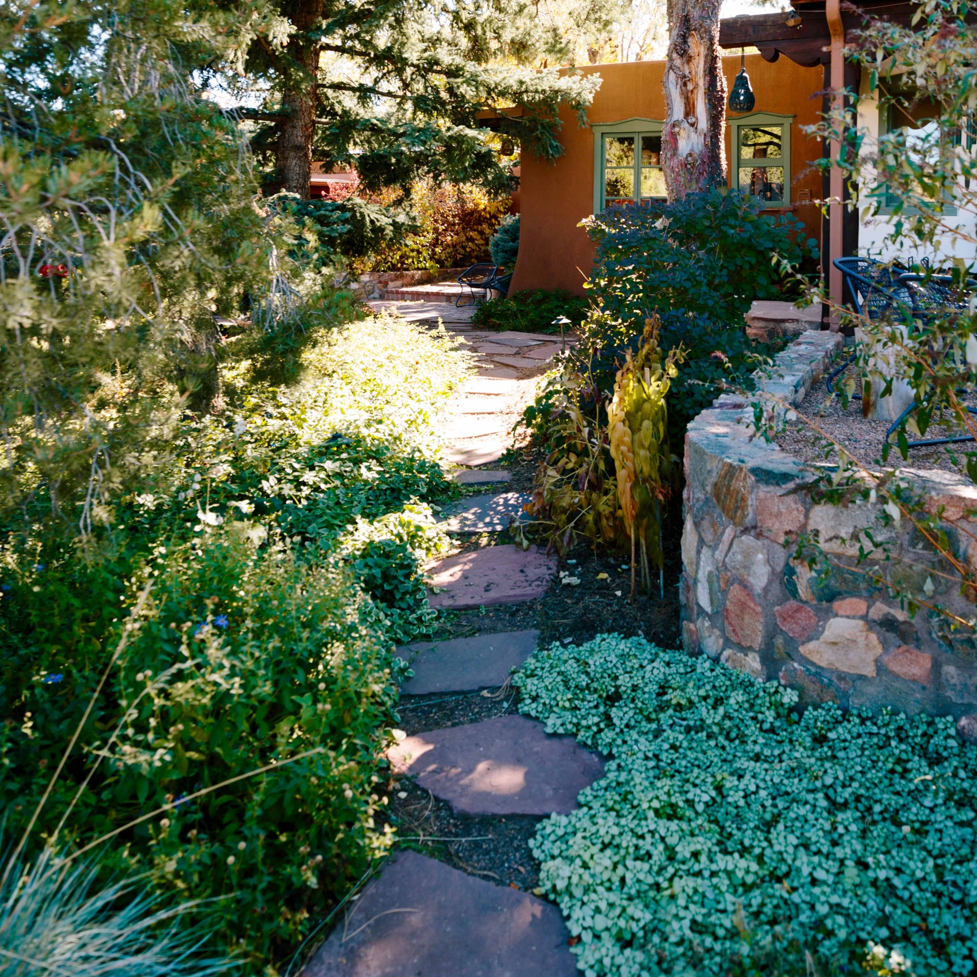 A stone pathway winds through lush greenery leading to a house surrounded by tall trees.