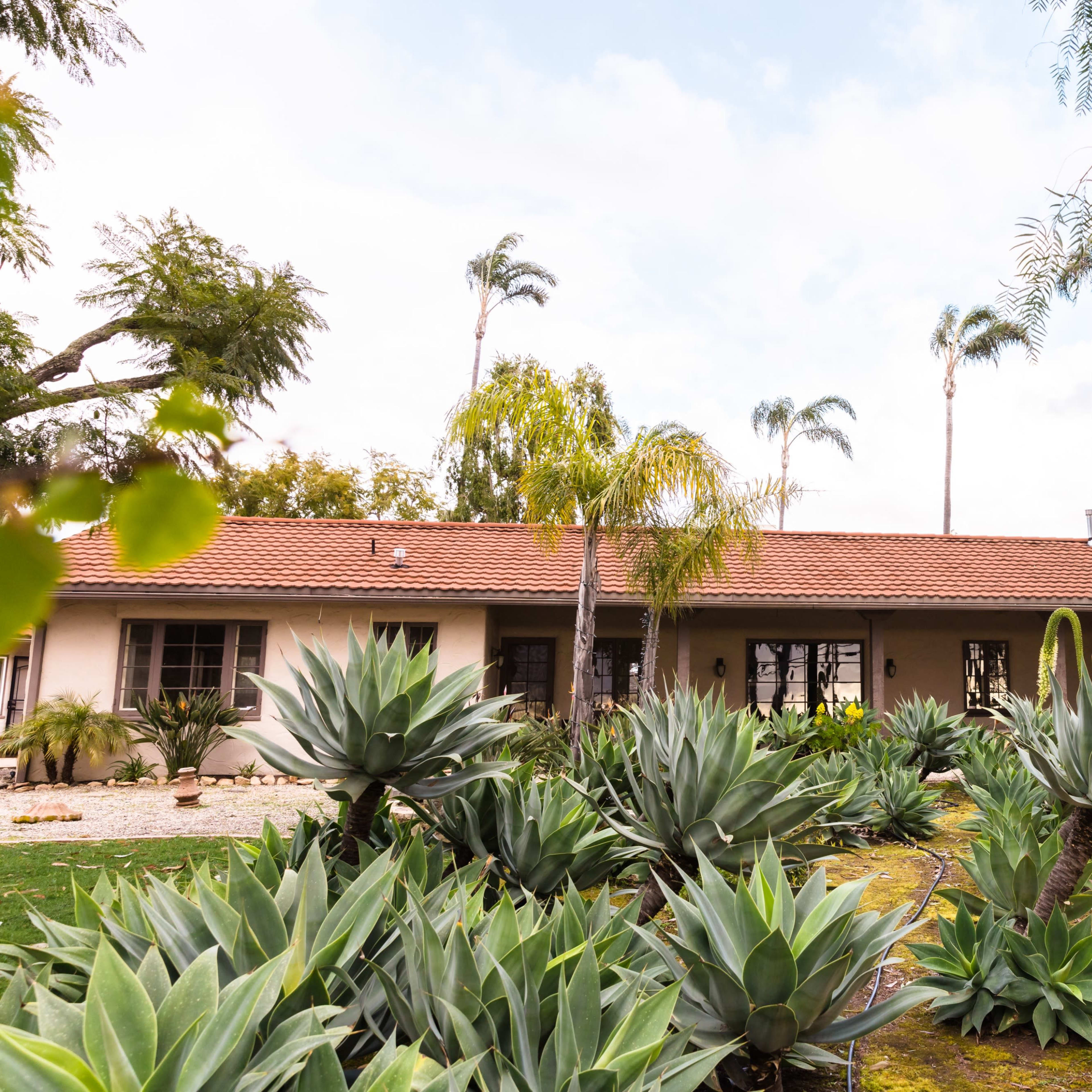 A single-story house with a red tiled roof is surrounded by various green plants and palm trees.