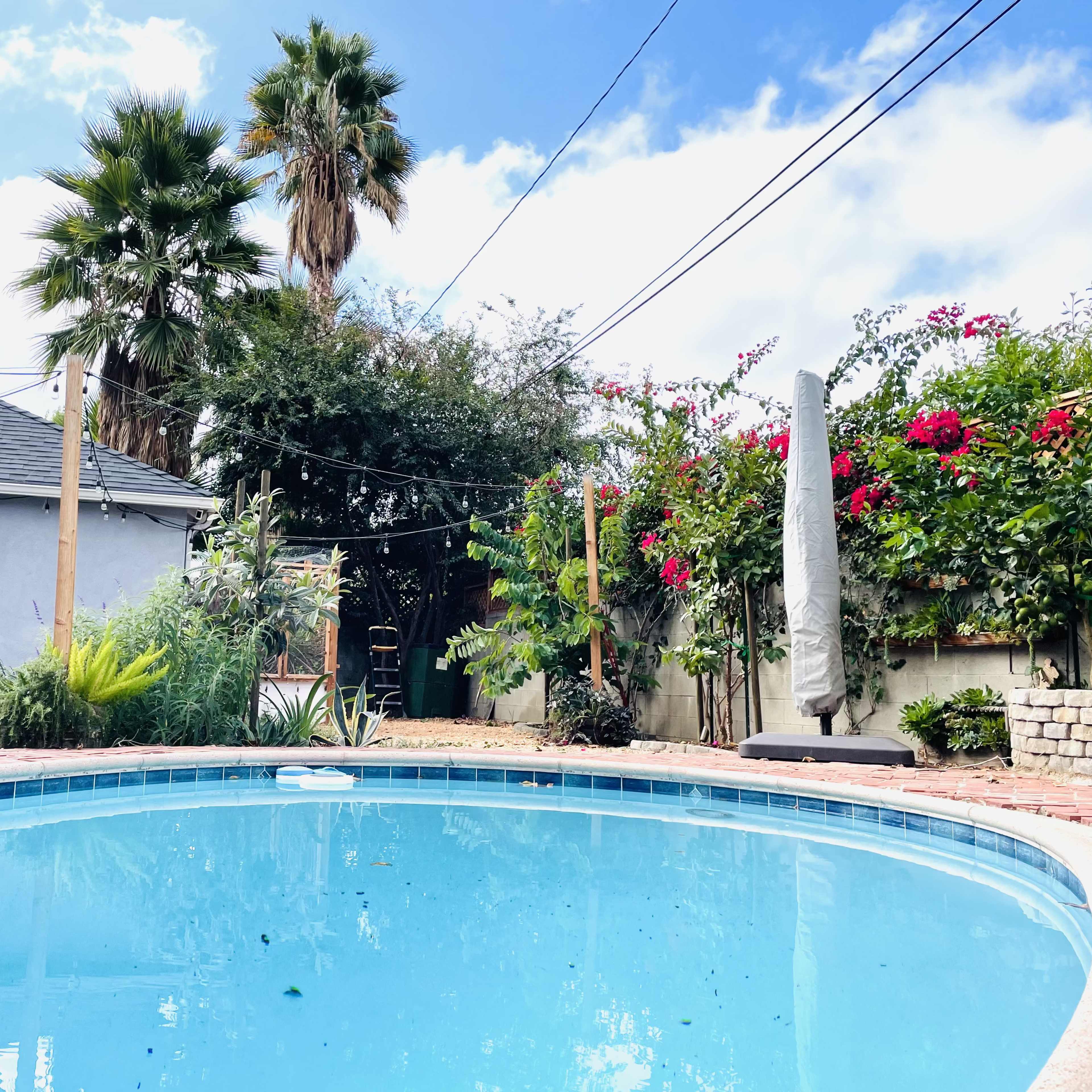A swimming pool surrounded by tropical plants and flowers, with a house and blue sky in the background.