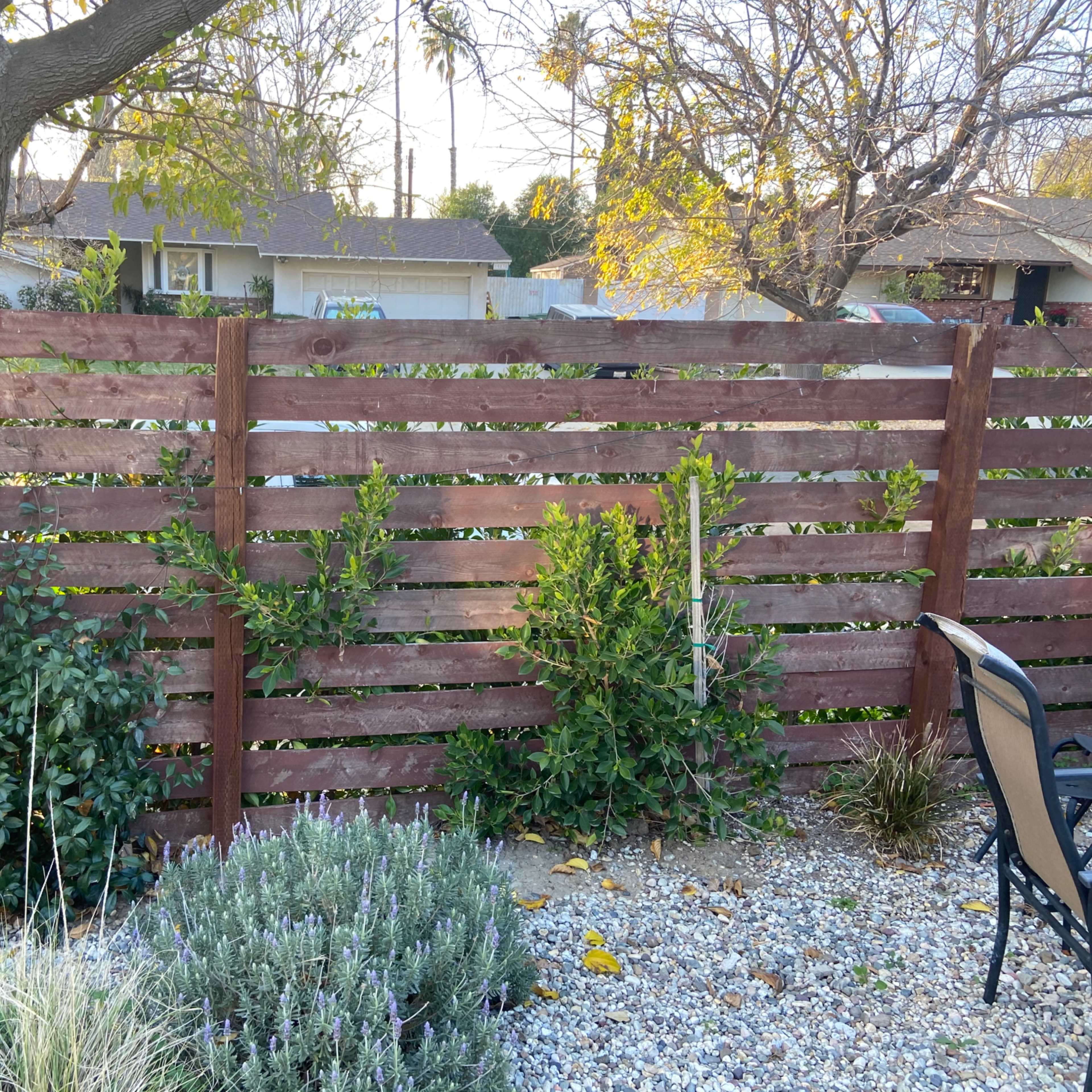 A wooden slatted fence surrounded by greenery and gravel in a backyard setting.