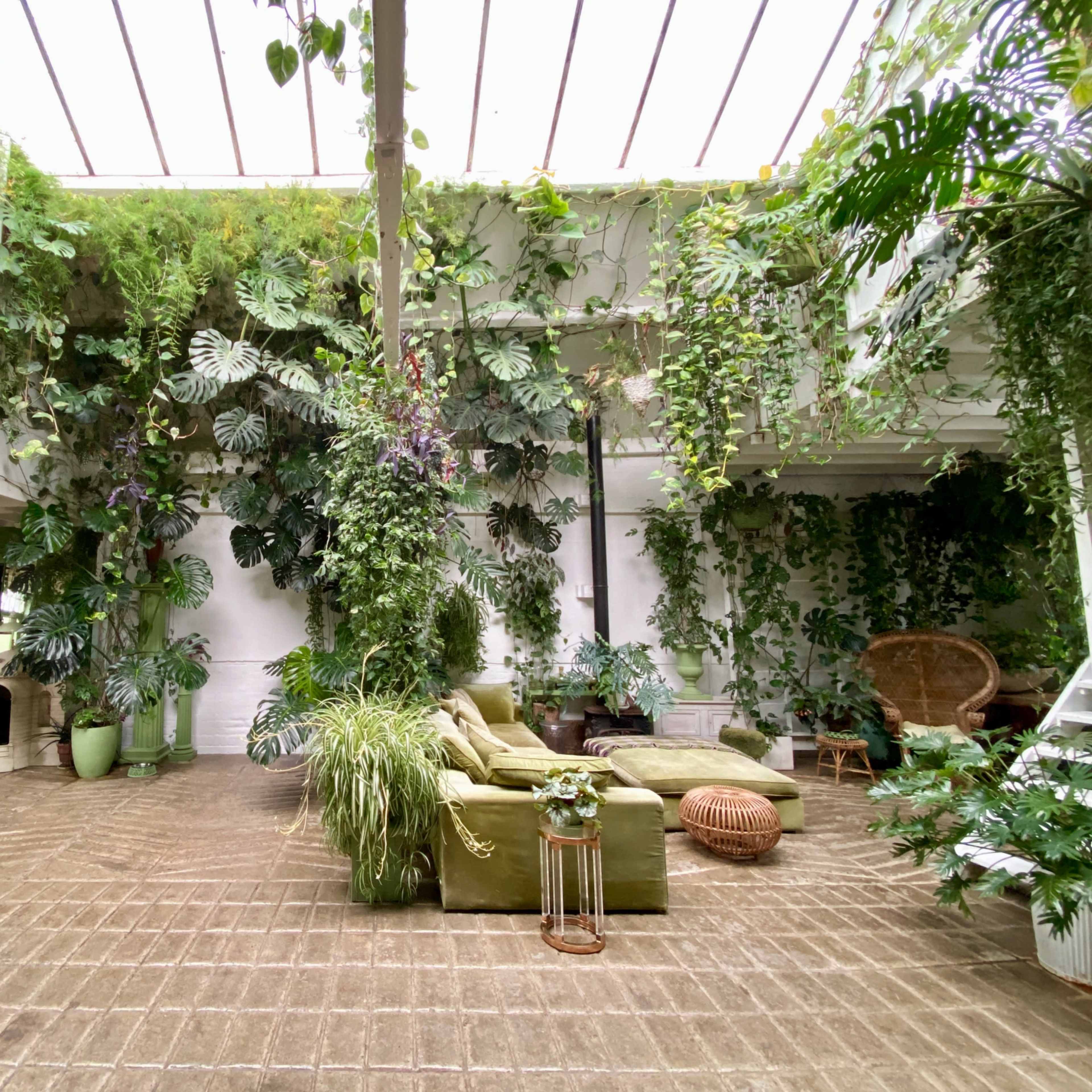 A spacious, indoor area filled with various green plants, featuring a large sofa, wicker furniture, and a staircase leading to an upper level.