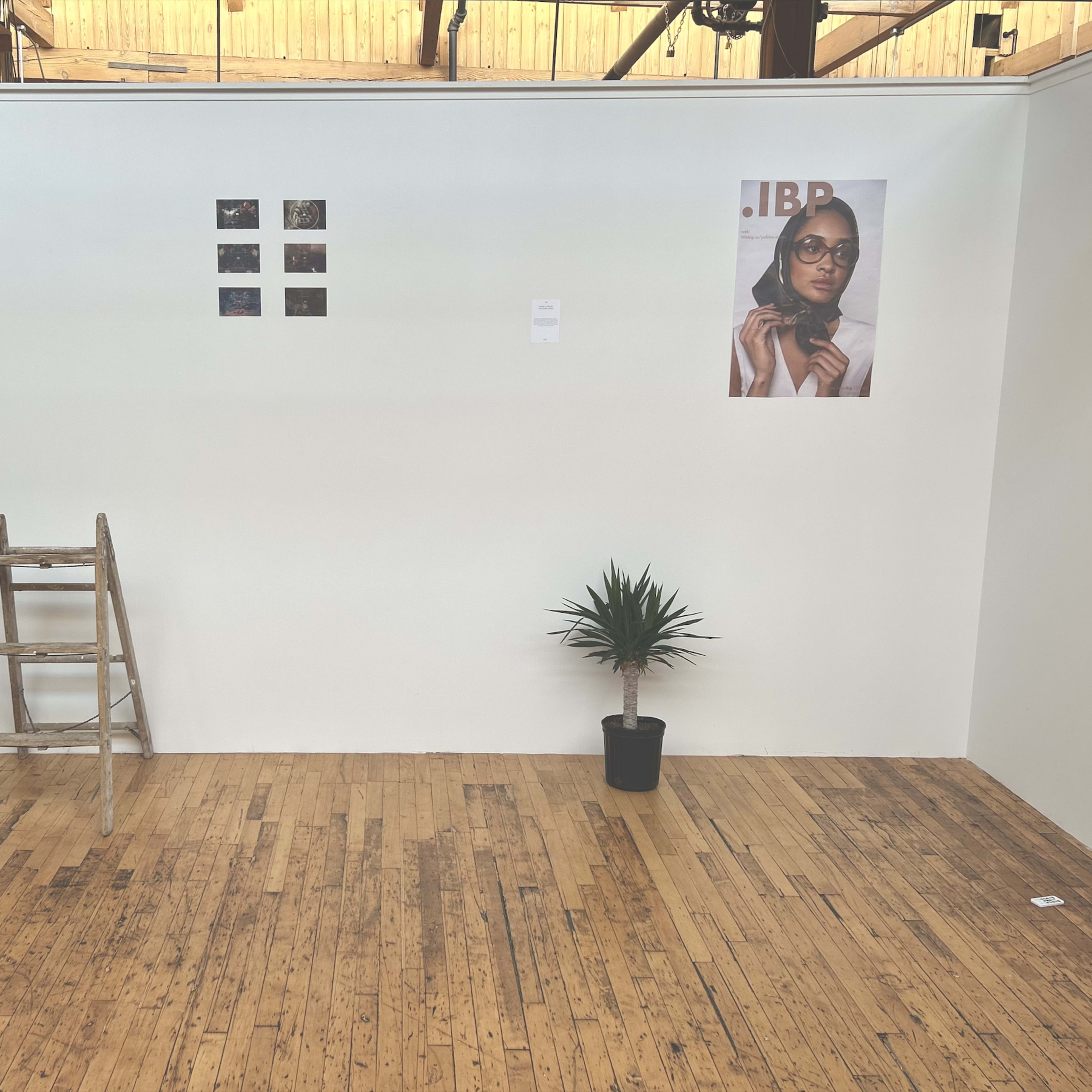 An empty exhibition space features a wooden ladder, potted plants, and various photographs displayed on the walls.