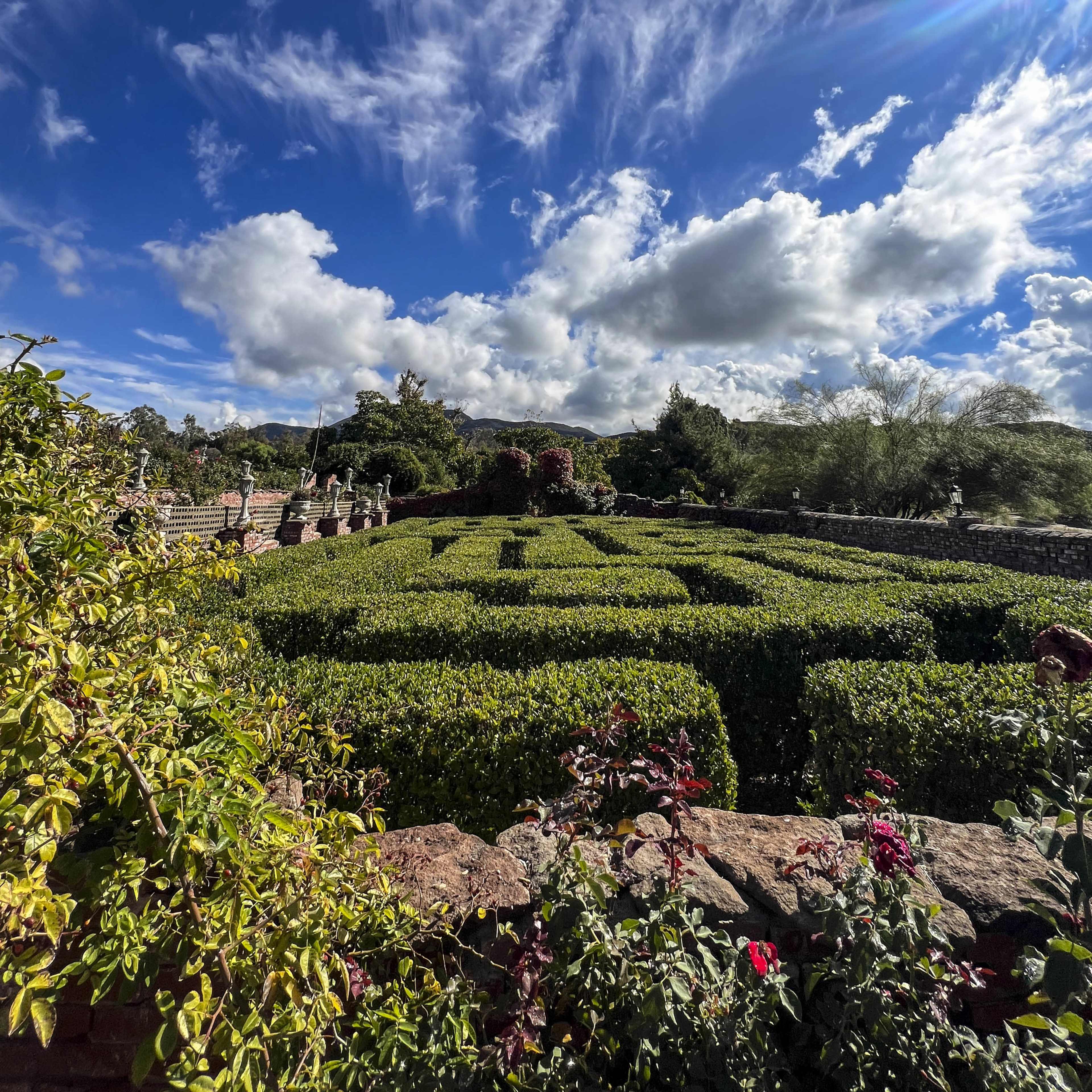 A neatly trimmed hedge maze set against a backdrop of a blue sky filled with scattered clouds.