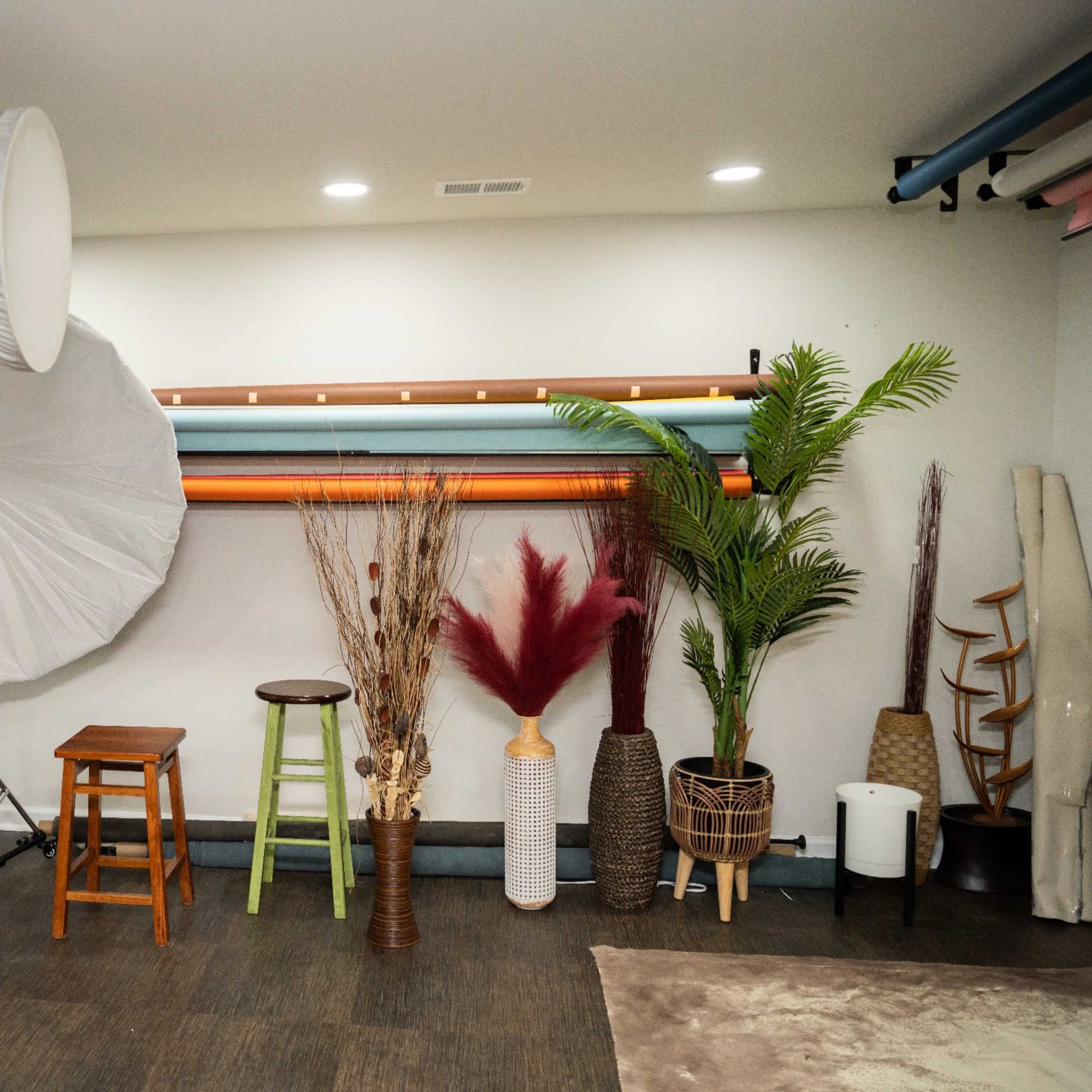 A photography studio setup features backdrops of various colors, multiple stools, and decorative plants arranged against a wall.