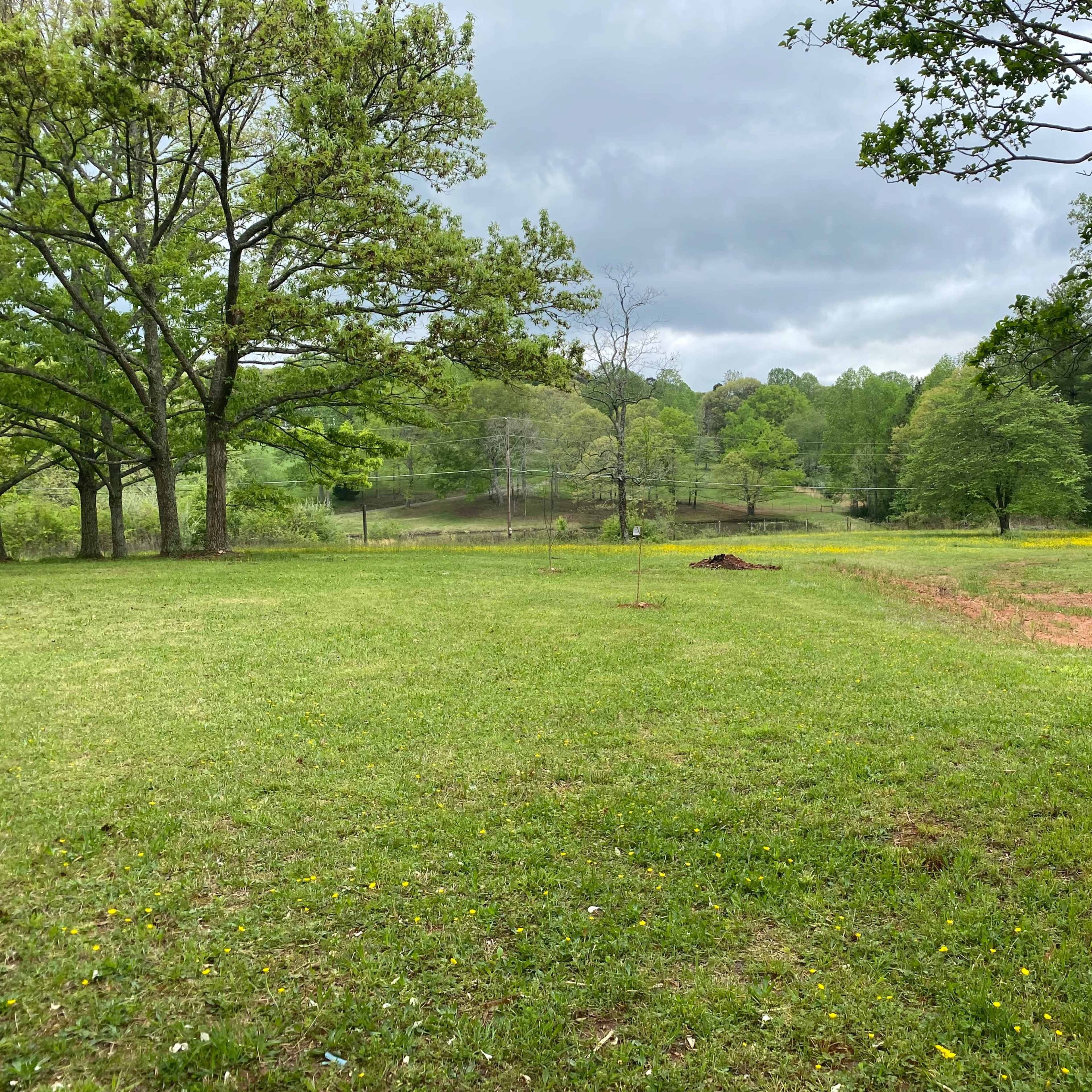 A grassy landscape with a few trees and a distant view of a lake under a cloudy sky.
