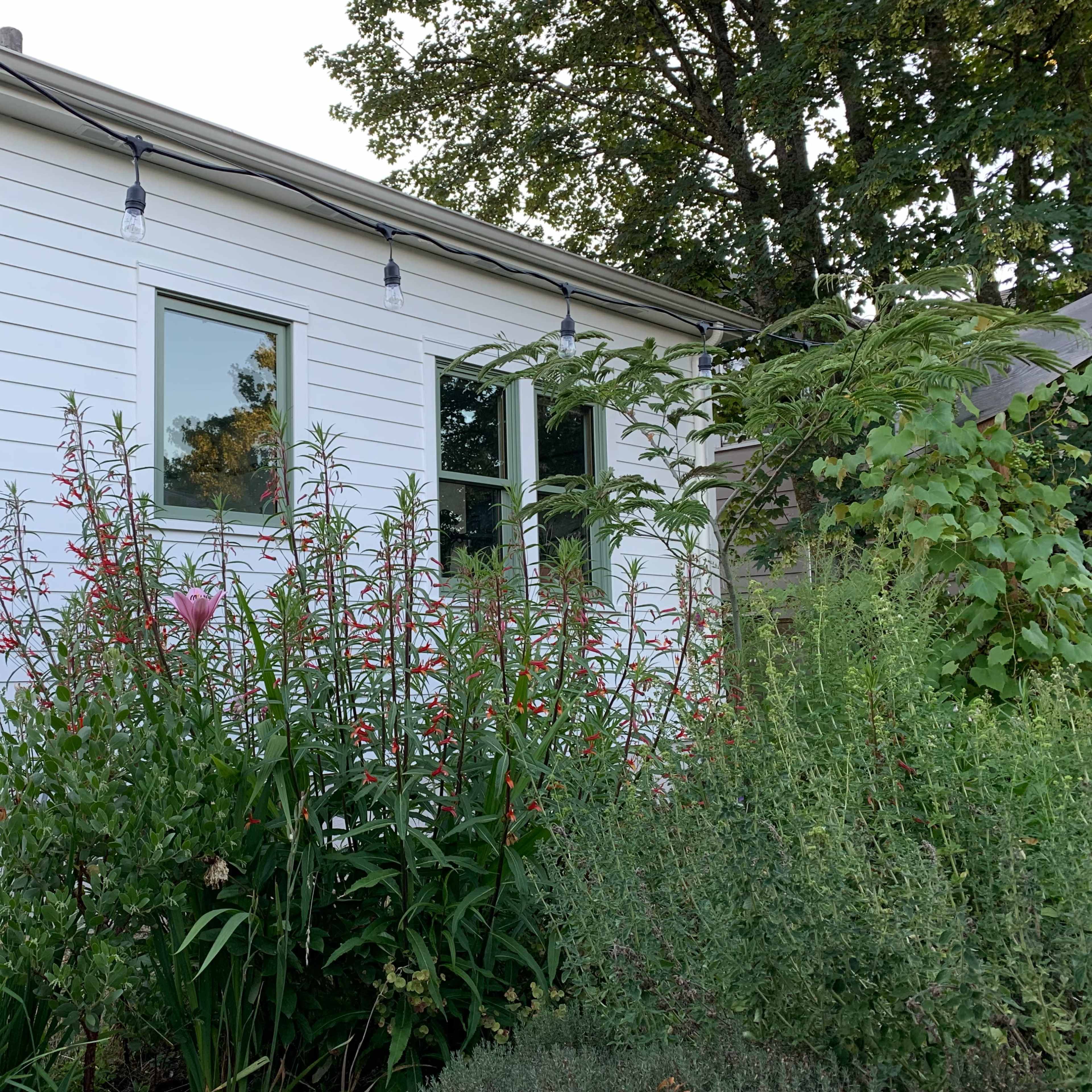 A white house exterior with multiple windows, surrounded by colorful flowering plants and greenery.