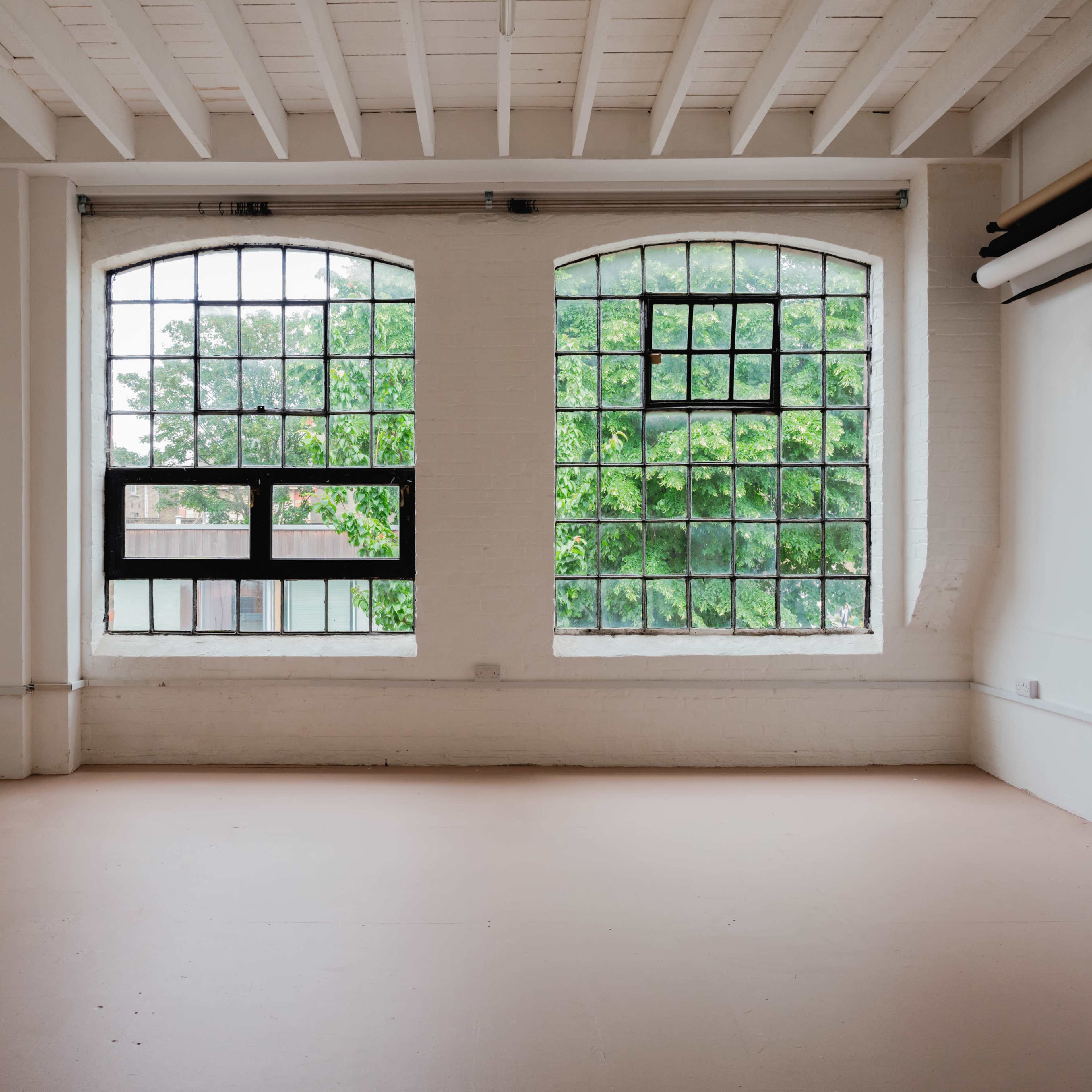 A spacious, empty room with two large windows revealing greenery outside.