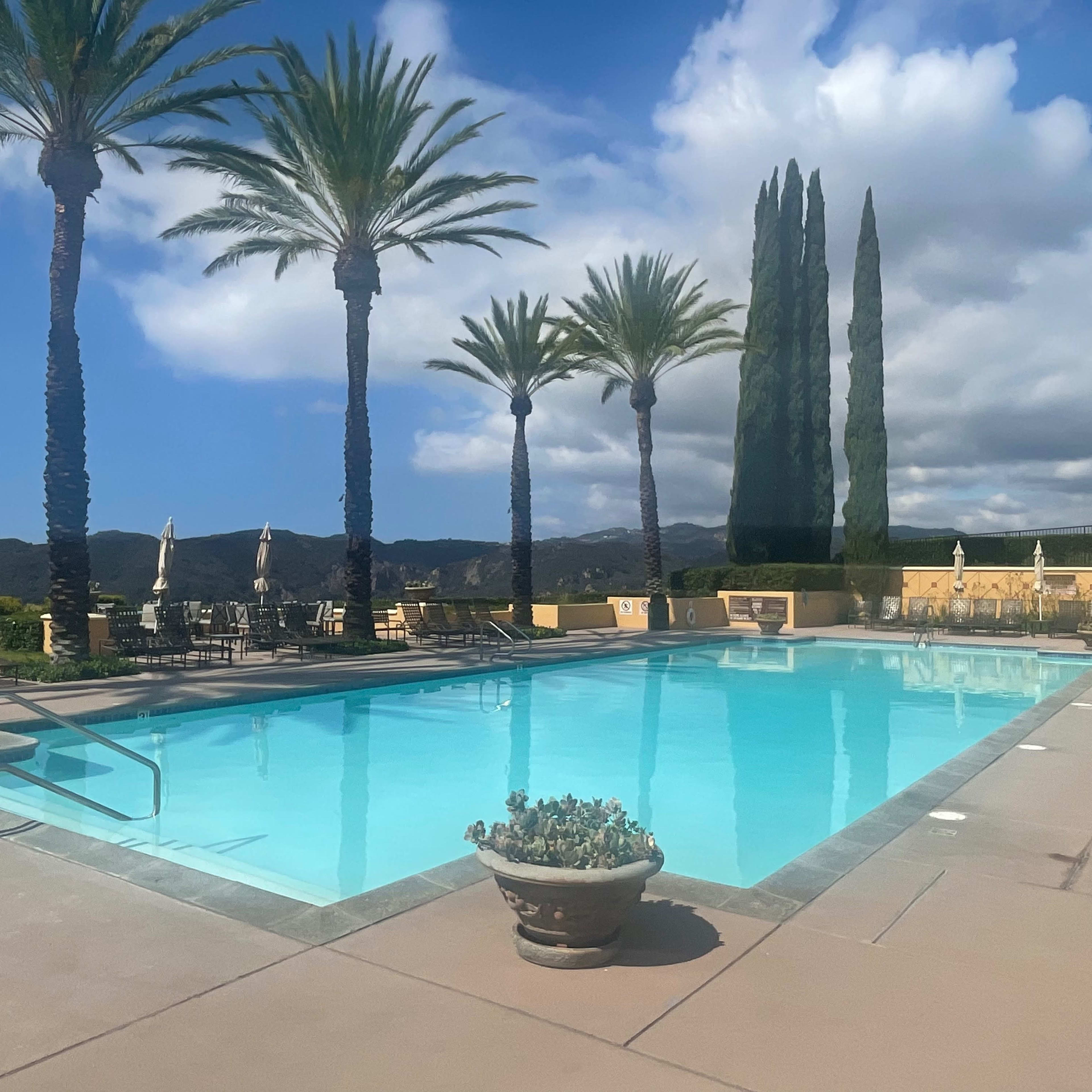 A clear swimming pool is surrounded by palm trees and hills under a partly cloudy sky.