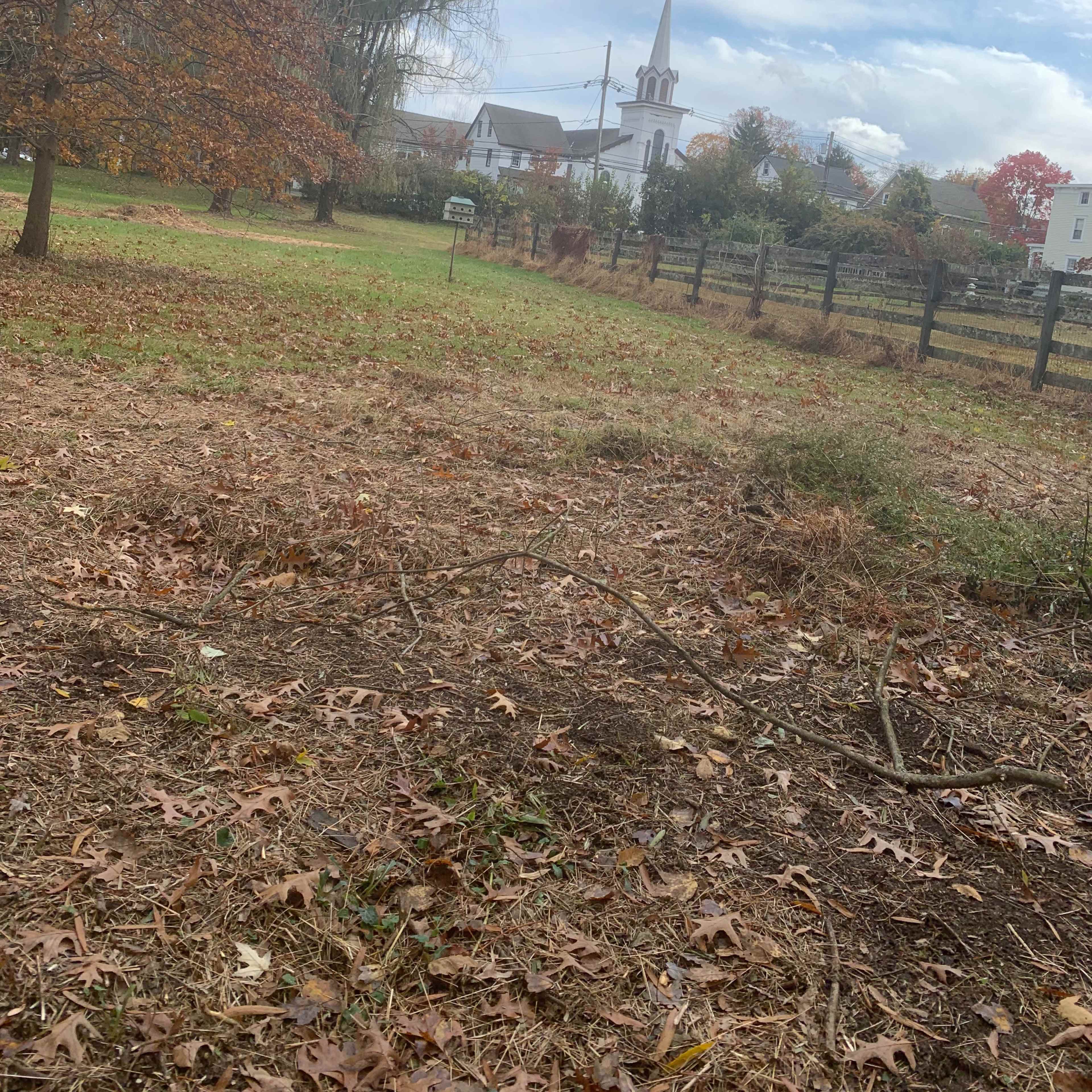 An open grassy area with fallen leaves, a wooden fence, and a church steeple visible in the background under a partly cloudy sky.