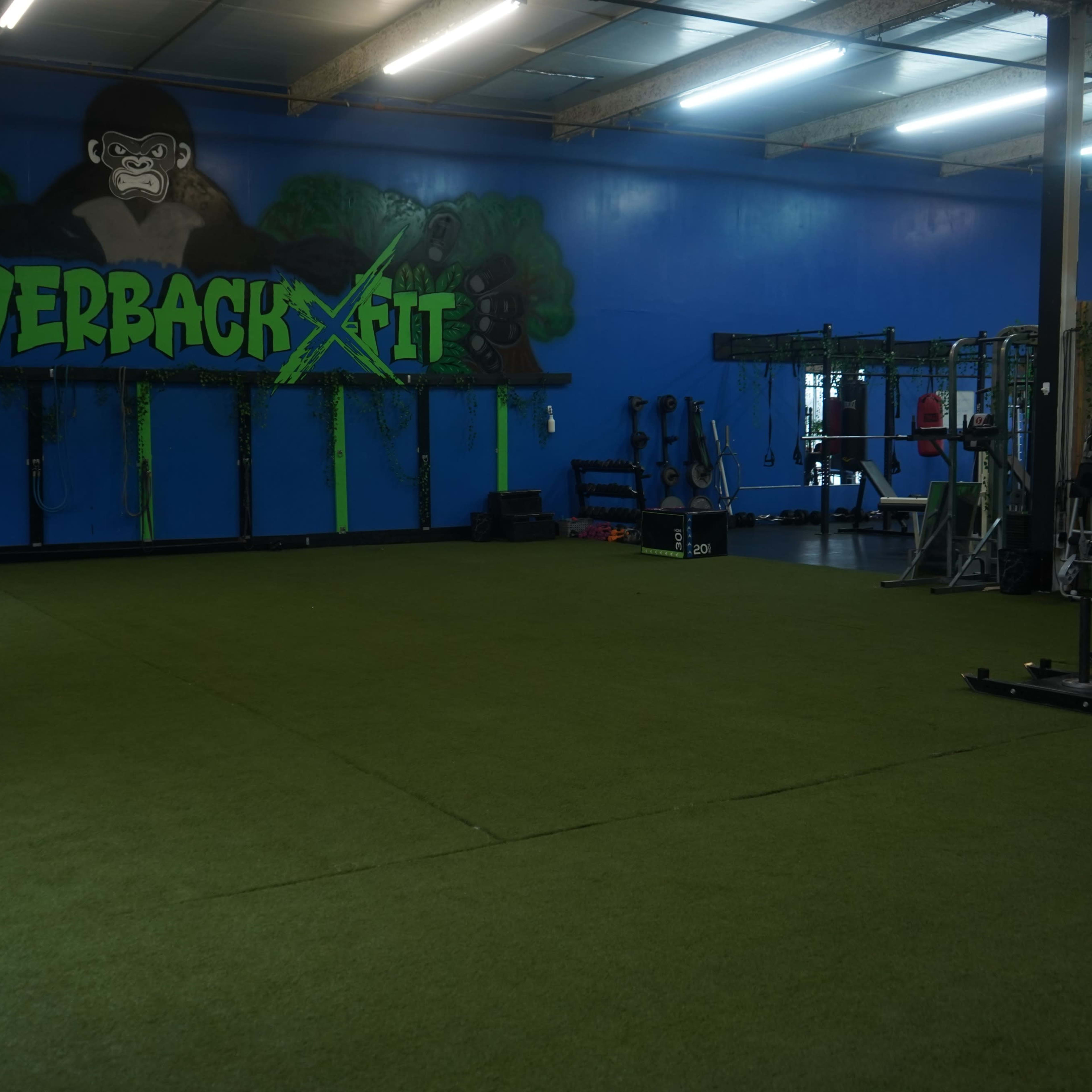 A gym interior with artificial turf flooring, a mural of a gorilla on a blue wall, and various gym equipment arranged throughout the space.