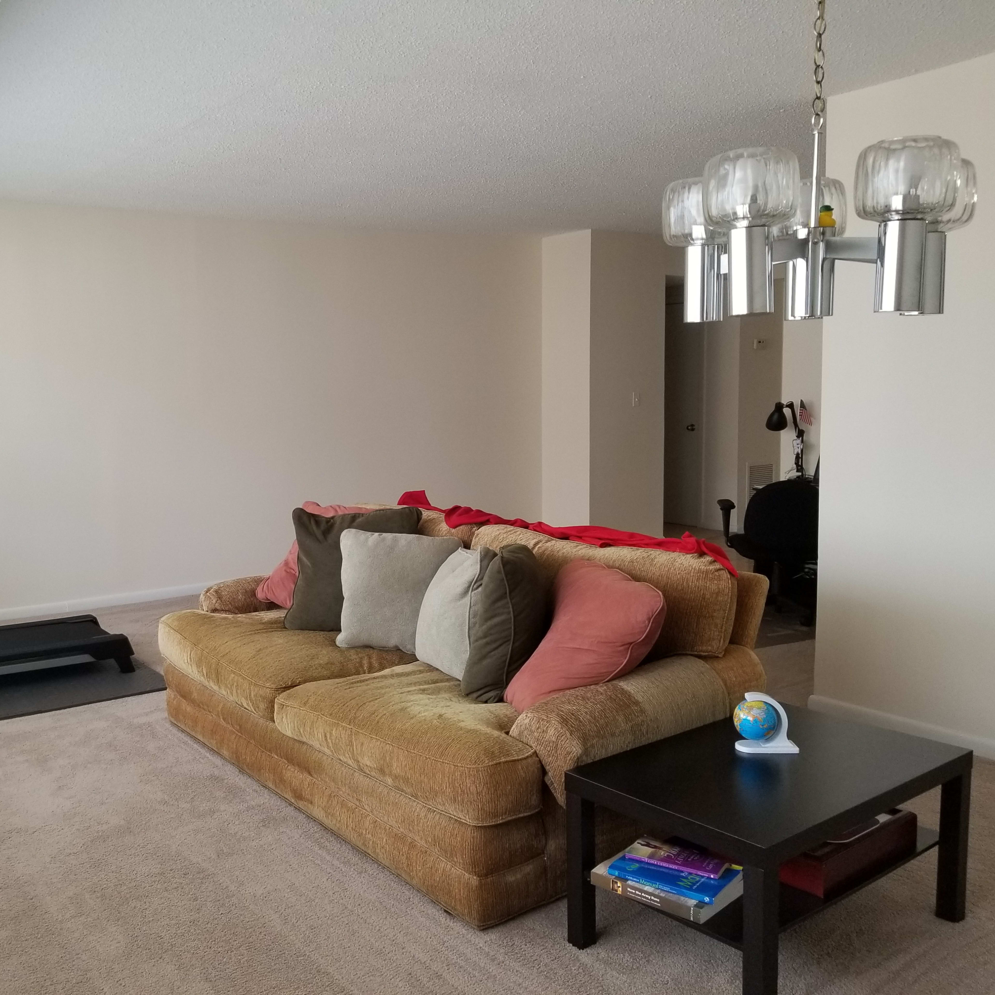 A living room with a brown couch adorned with several cushions, a small black coffee table, and a treadmill in the background.