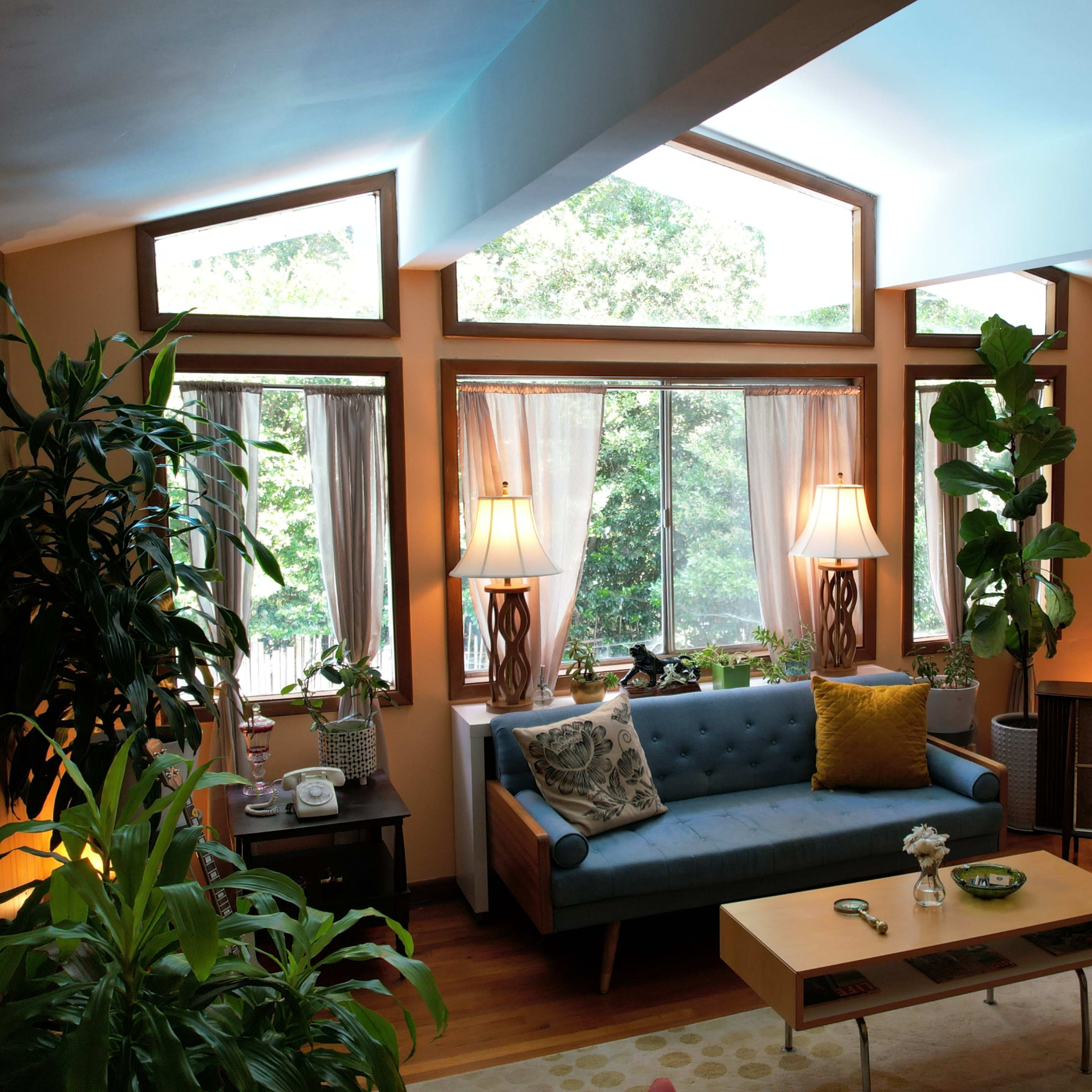 The living room features large windows, a blue sofa with decorative pillows, a coffee table, and several plants.