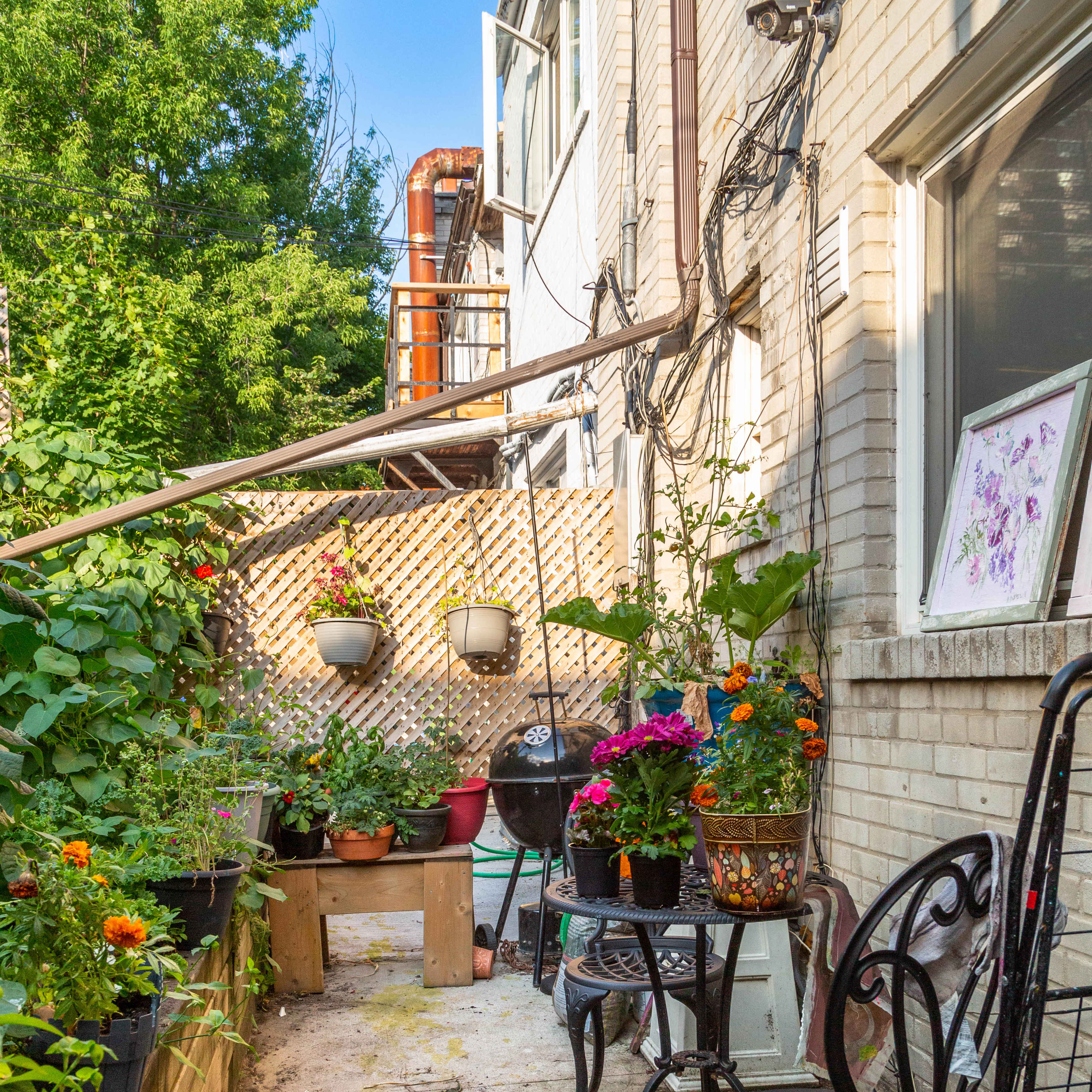 A narrow walkway lined with potted plants and flowers leads to a corner with a grill and a couple of chairs against a brick wall.