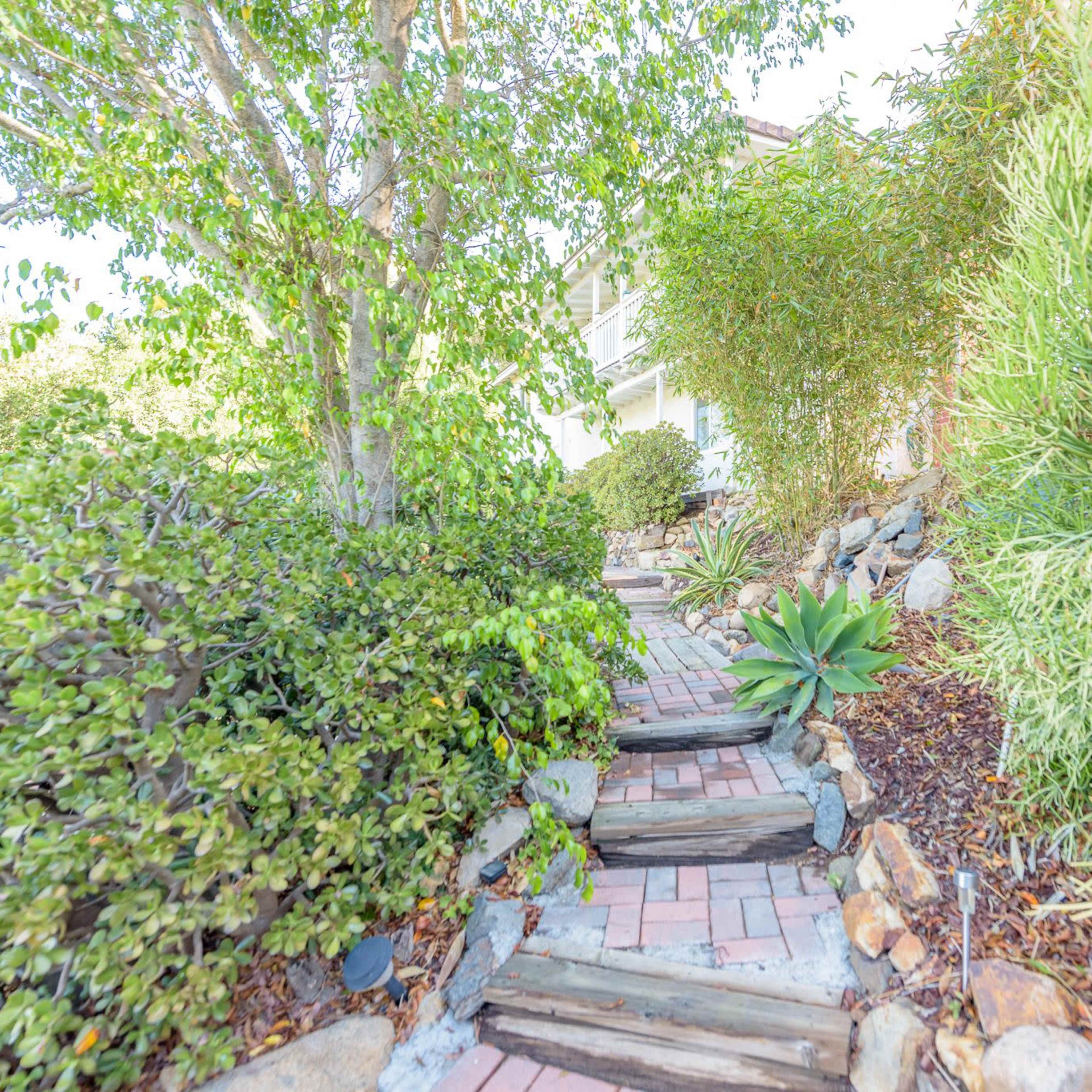 A brick pathway winds through green shrubs and plants leading up to a house.