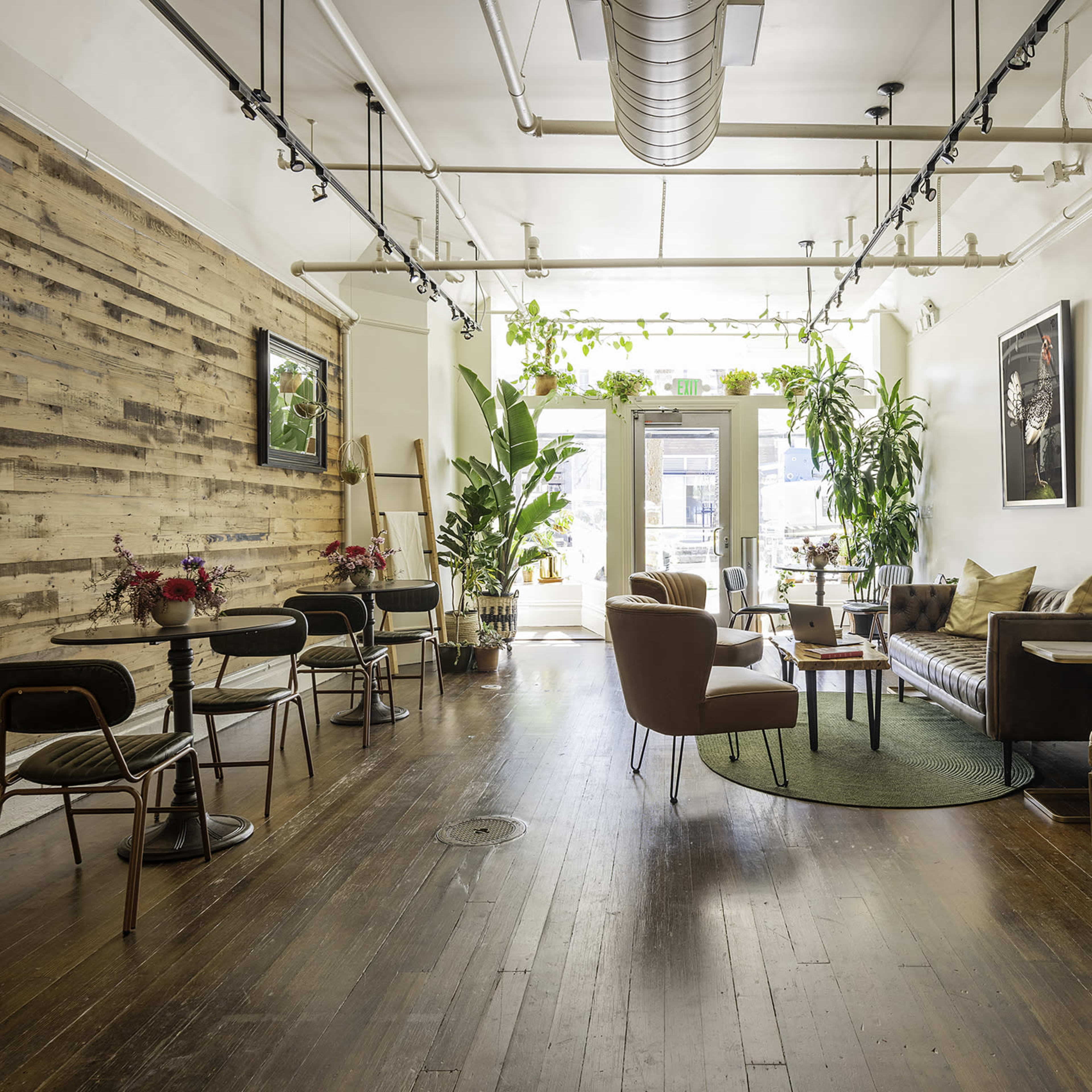 A bright café interior featuring a mix of seating options, wooden accents, large plants, and artwork on the walls.