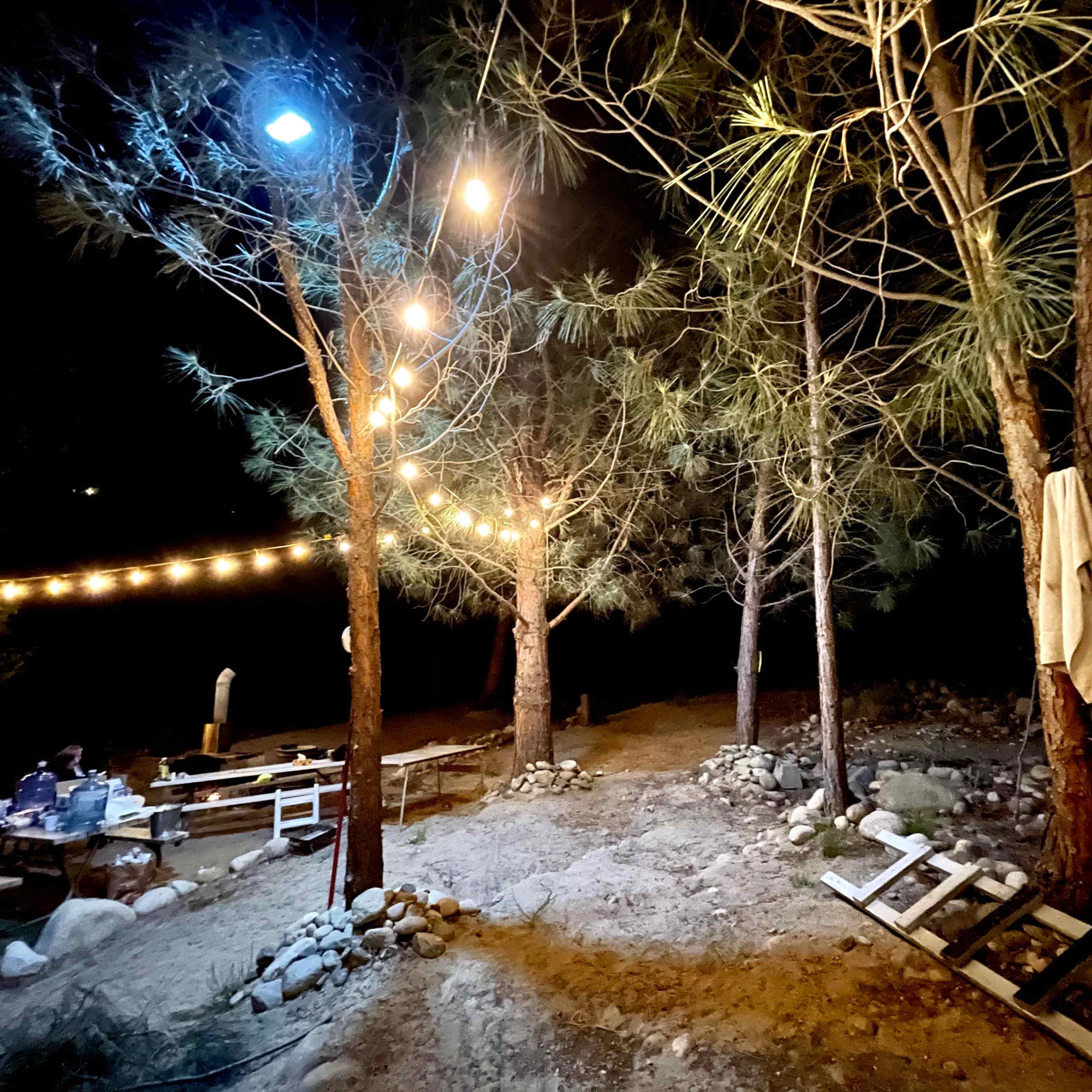 A wooded campsite at night, illuminated by string lights hanging between pine trees, with a path leading to a seating area and scattered rocks on the ground.