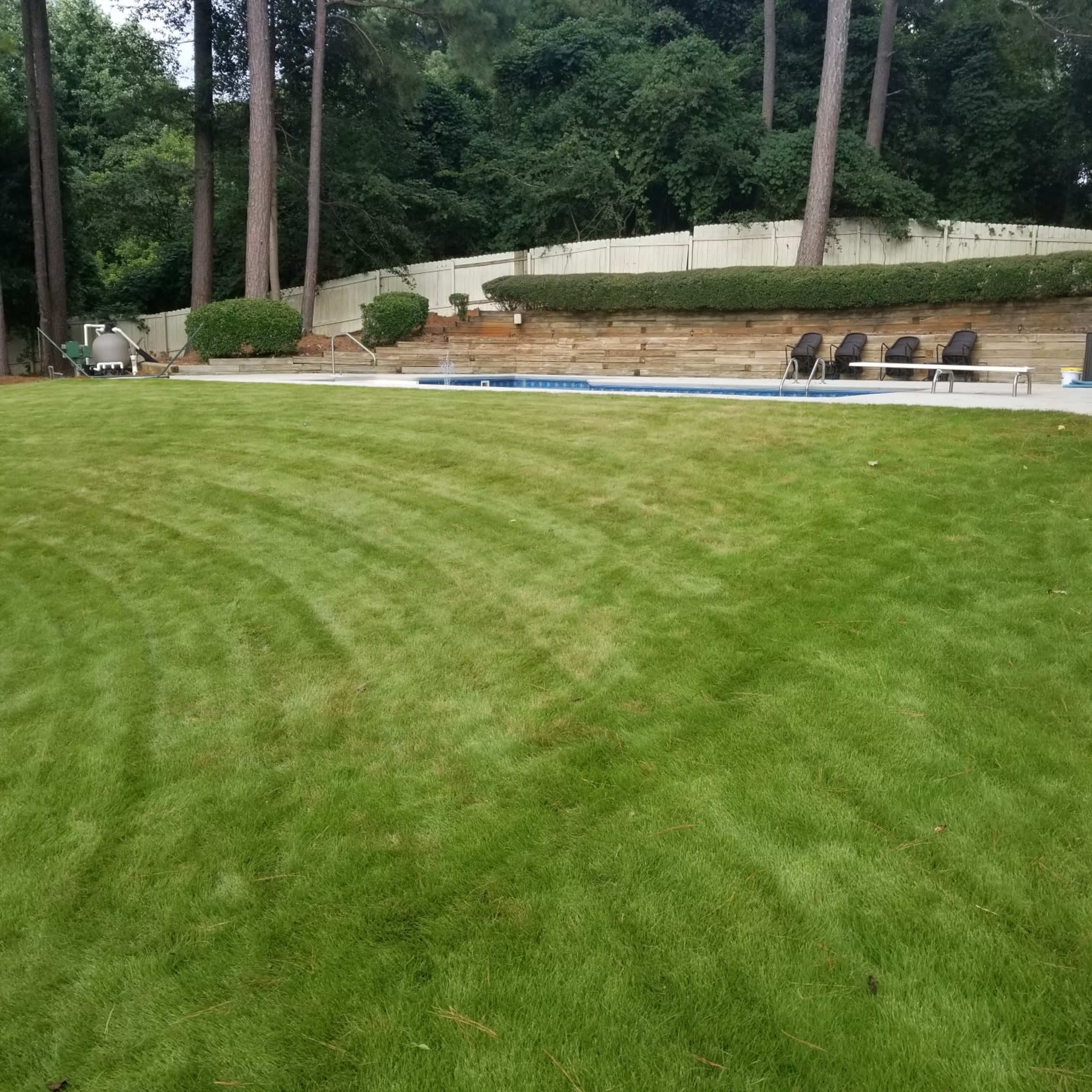 A neatly mowed lawn leading to a pool area surrounded by bushes and several lounge chairs.