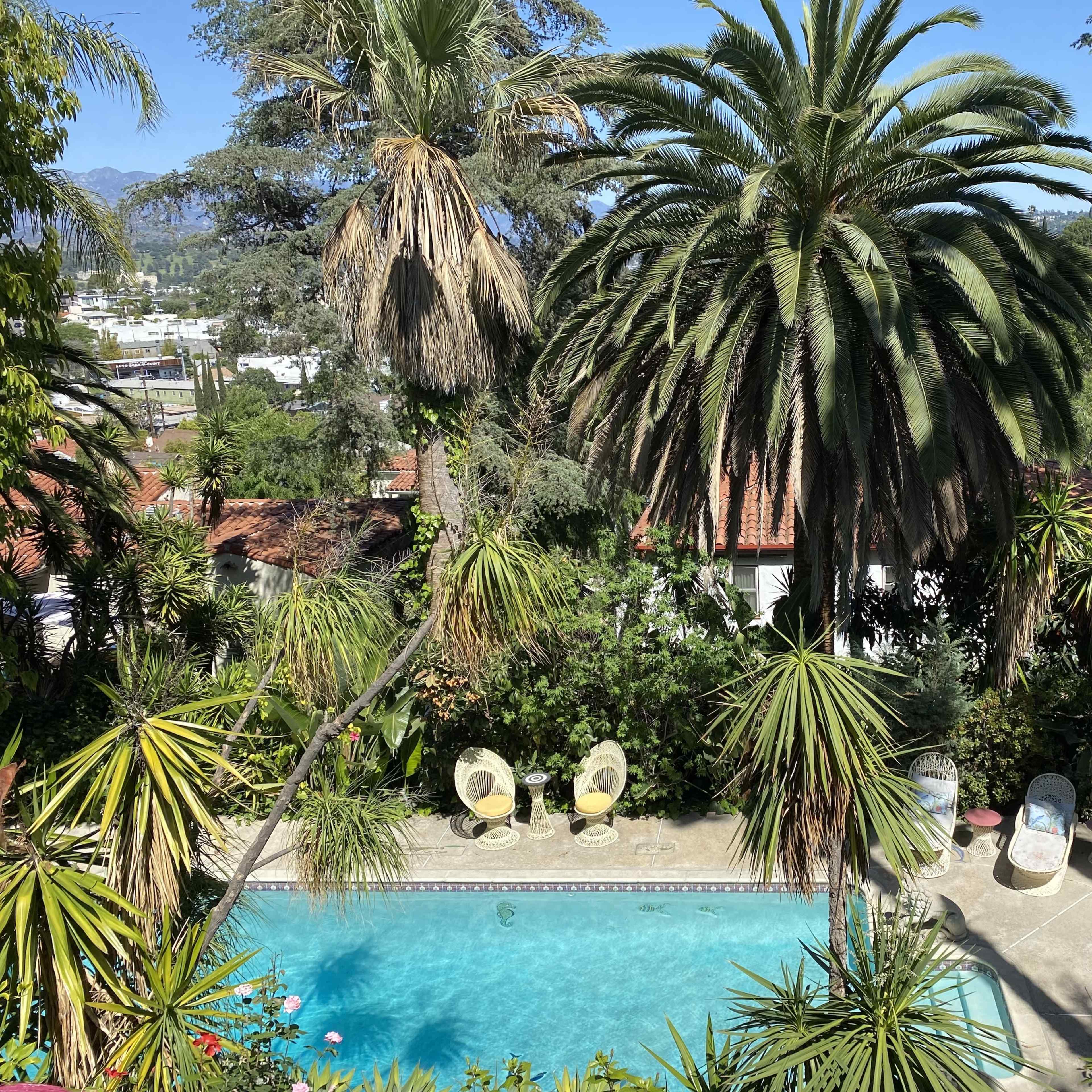A view of a landscaped backyard featuring a swimming pool surrounded by palm trees and patio furniture.