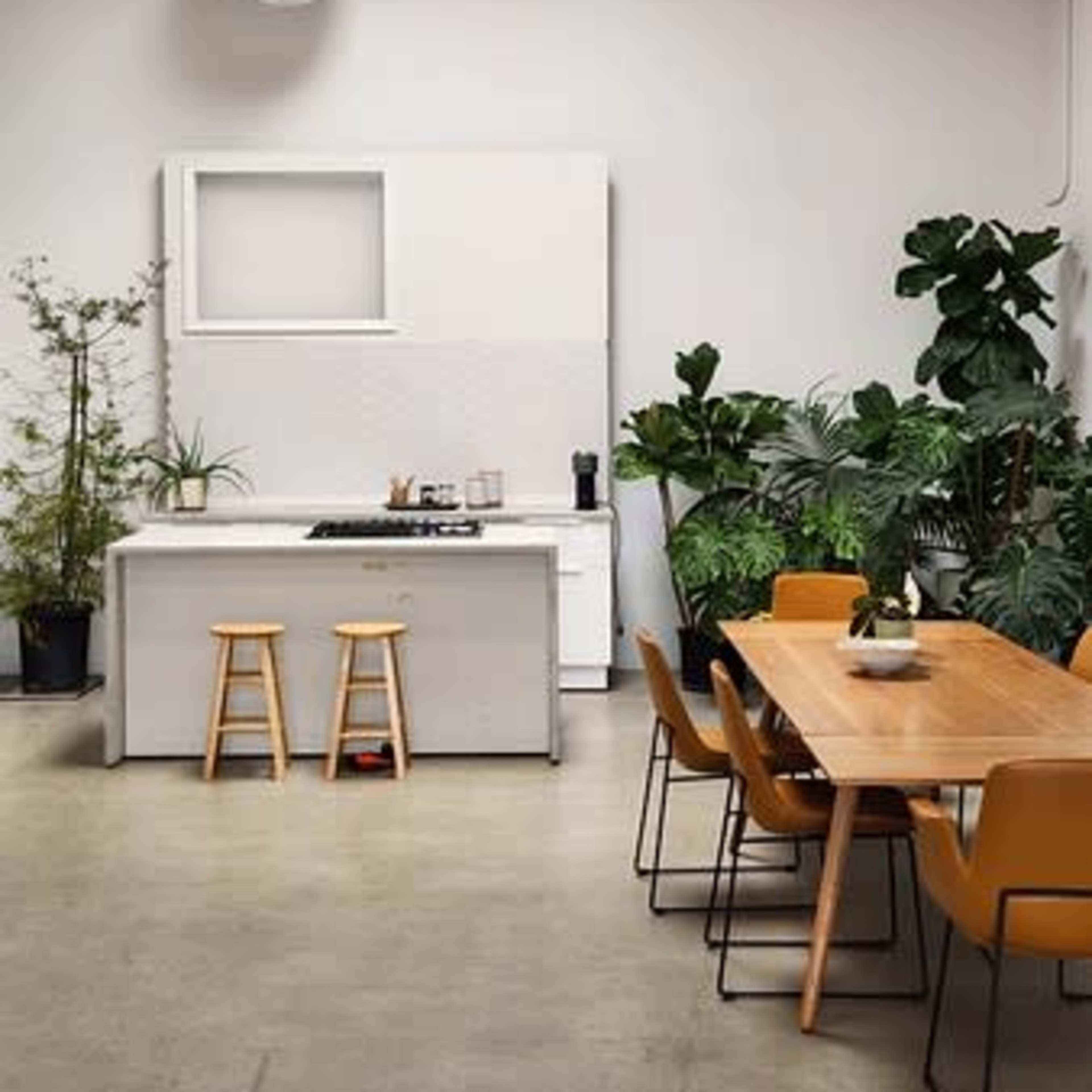 A modern kitchen with a white island, a dining table surrounded by chairs, and various indoor plants in a spacious, well-lit room.