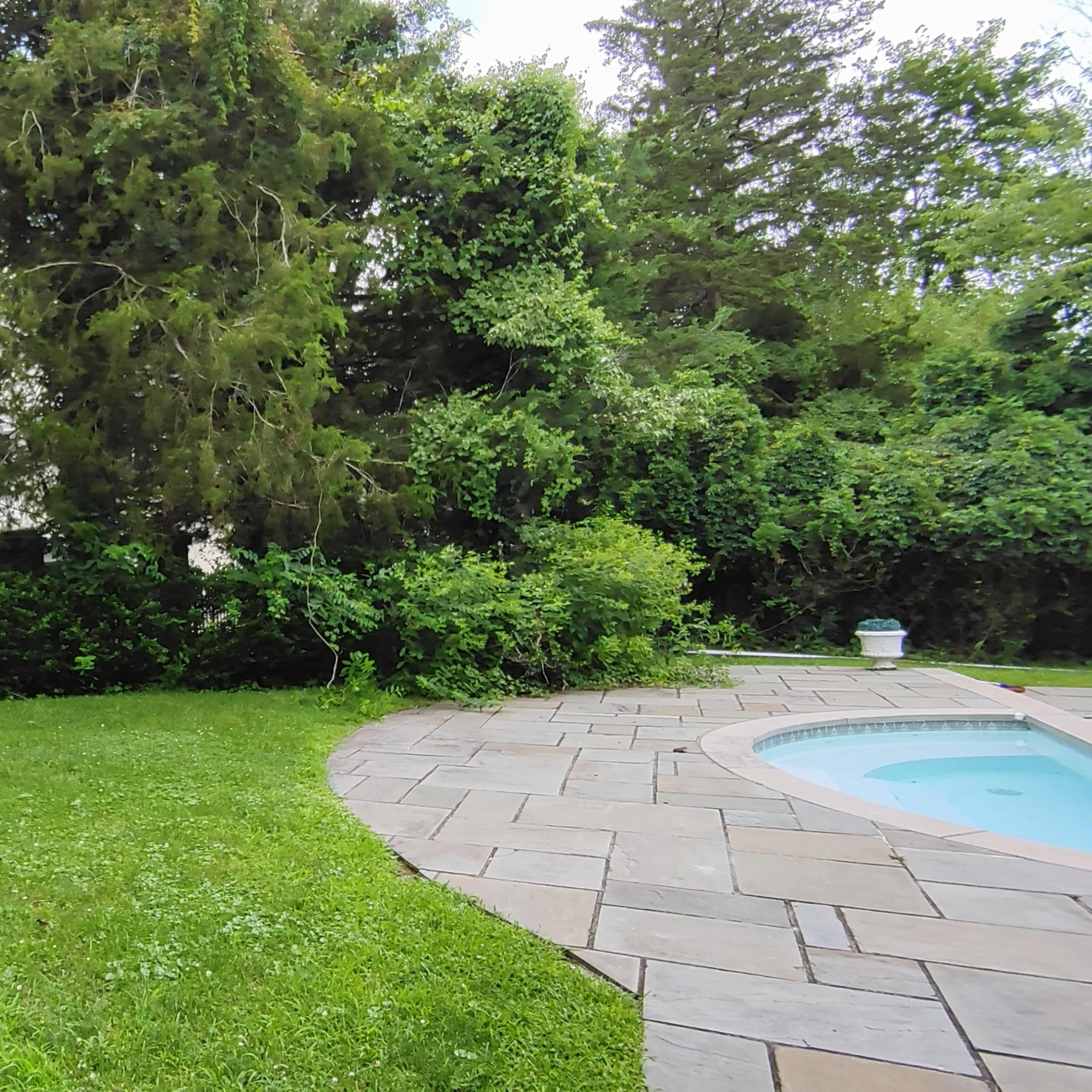 A grassy area with a stone pathway curving towards a pool, surrounded by dense greenery and trees.
