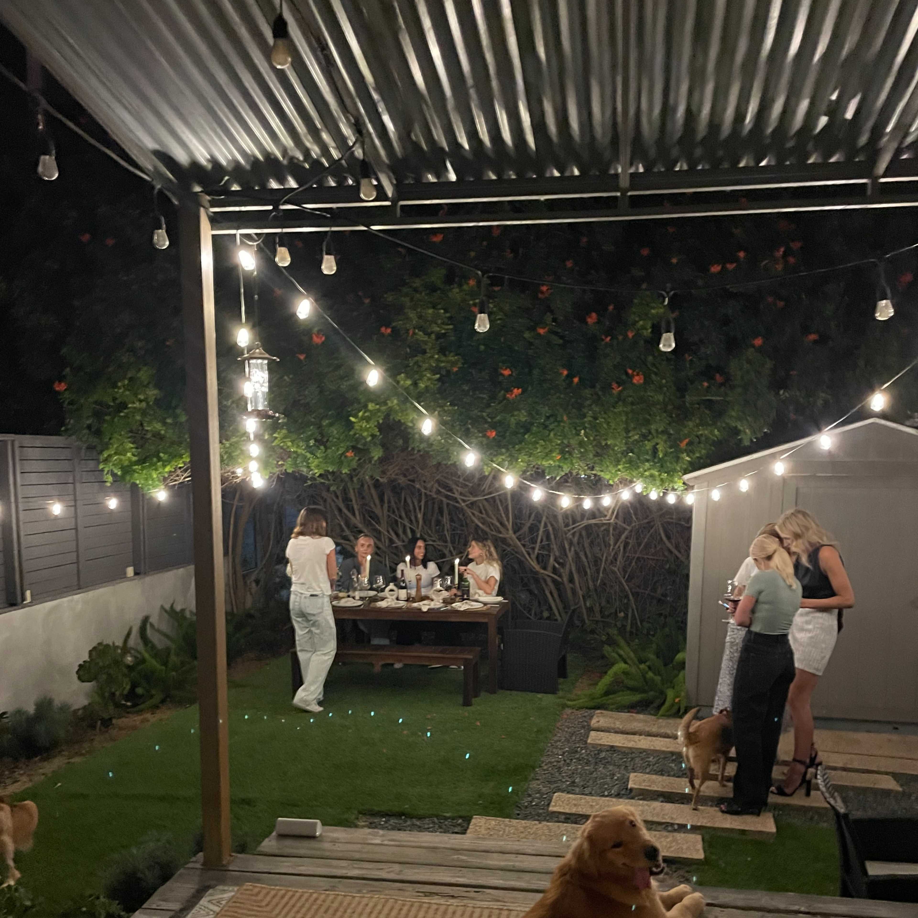 A group of people dine at a wooden table under string lights in a backyard, while a golden retriever lies on the ground nearby.