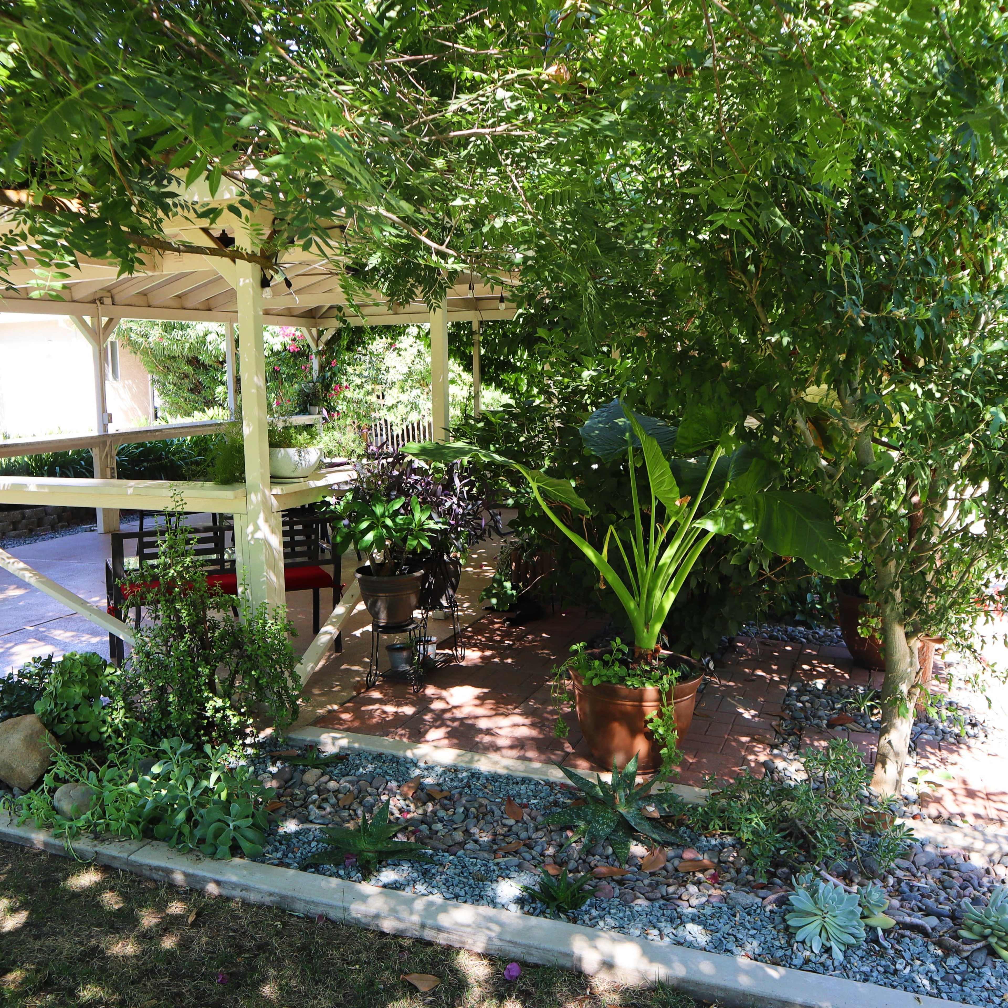 A shaded outdoor gazebo surrounded by various plants and decorative stones in a landscaped garden.