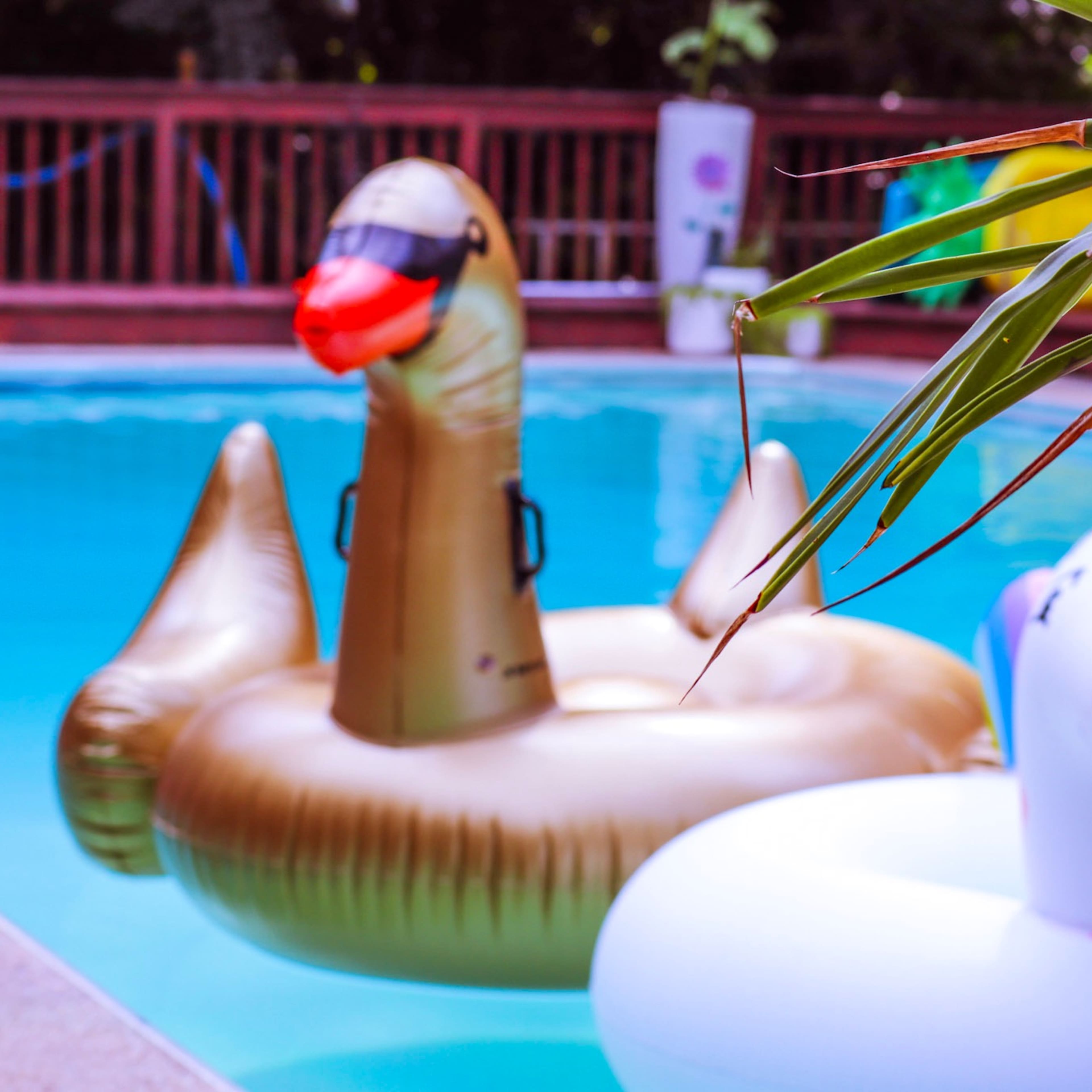 A golden inflatable duck and a white inflatable unicorn float in a swimming pool surrounded by greenery and a wooden deck.