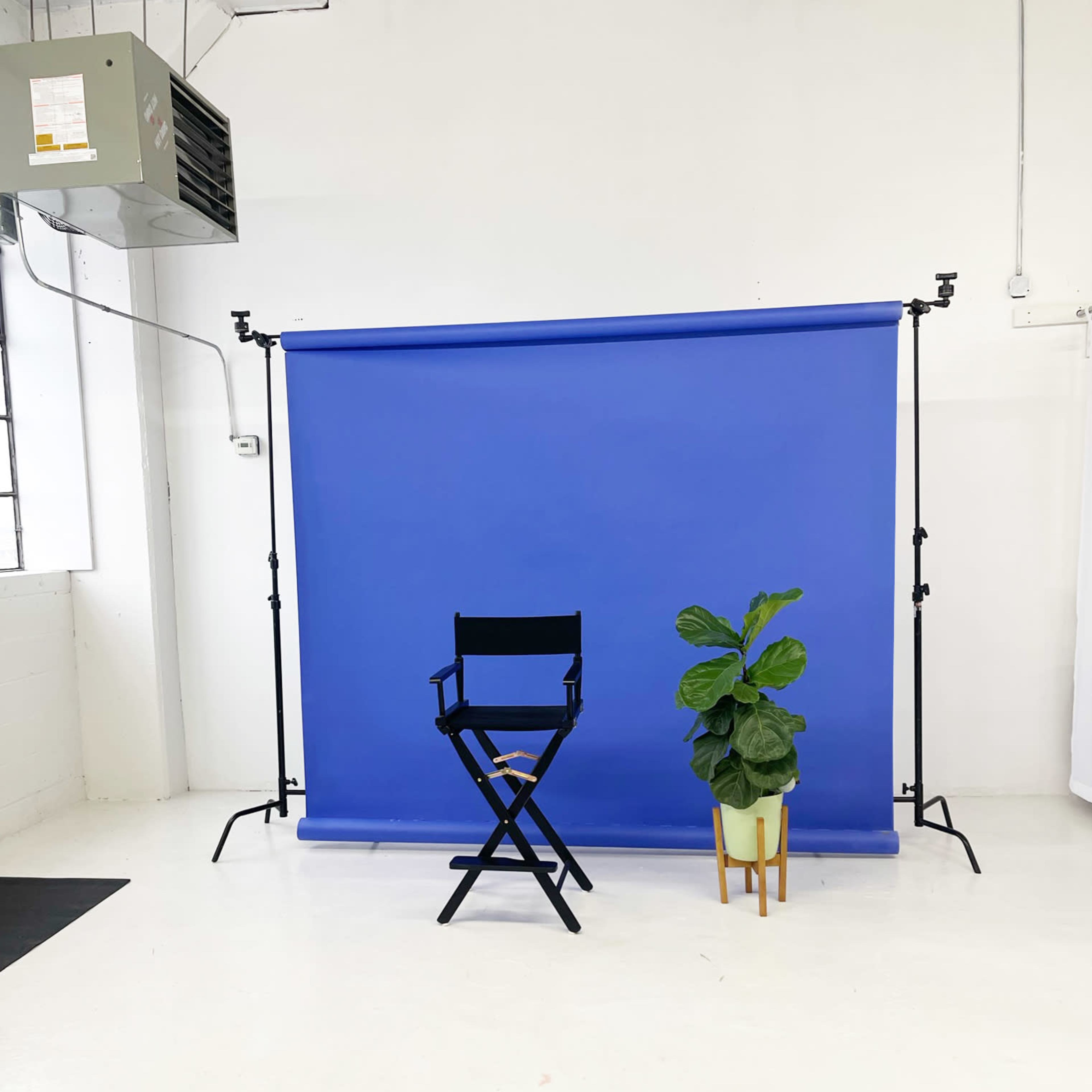 The scene features a black director's chair in front of a blue backdrop, accompanied by a potted plant on the side.