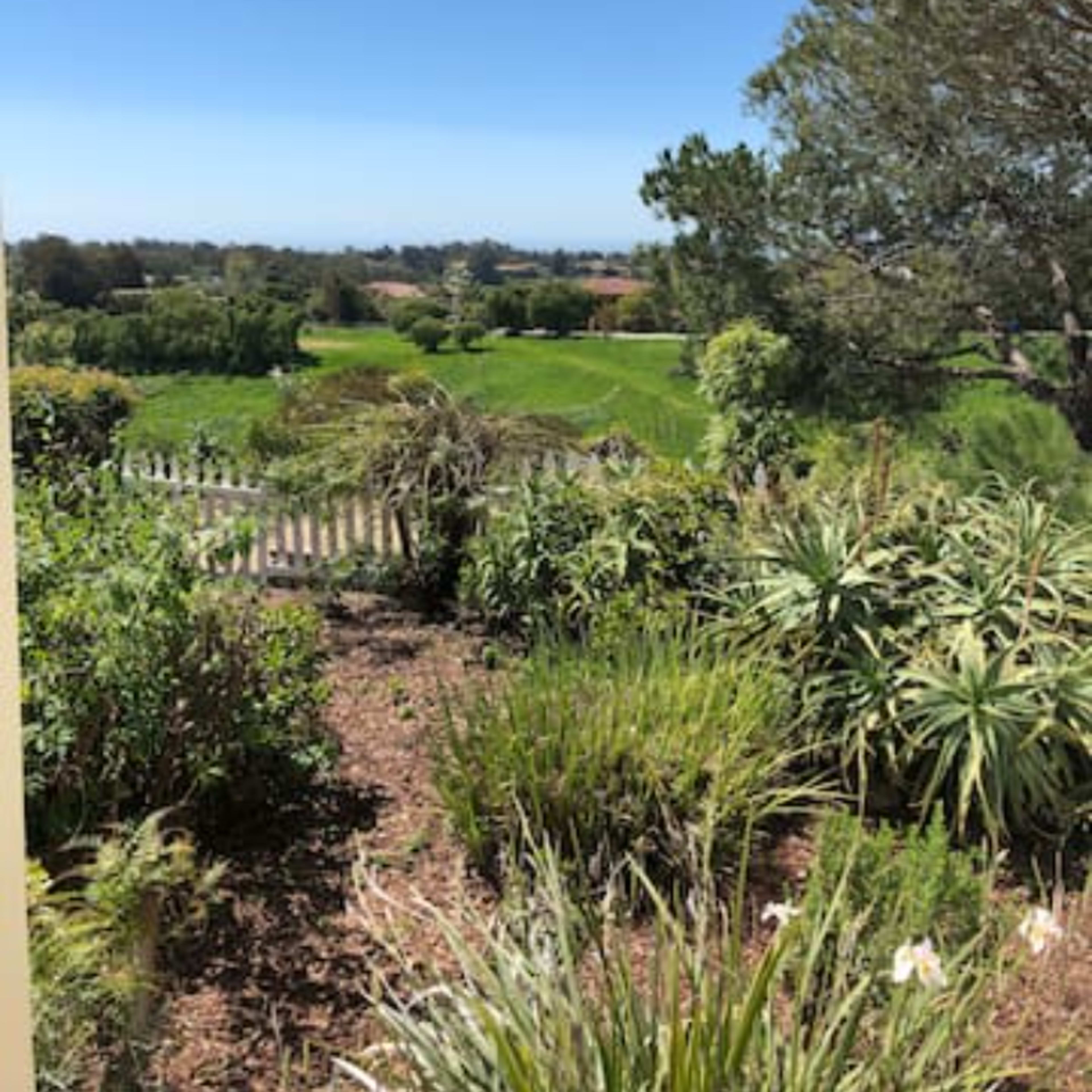 A landscaped garden with lush greenery and a view of a golf course and blue sky in the background.