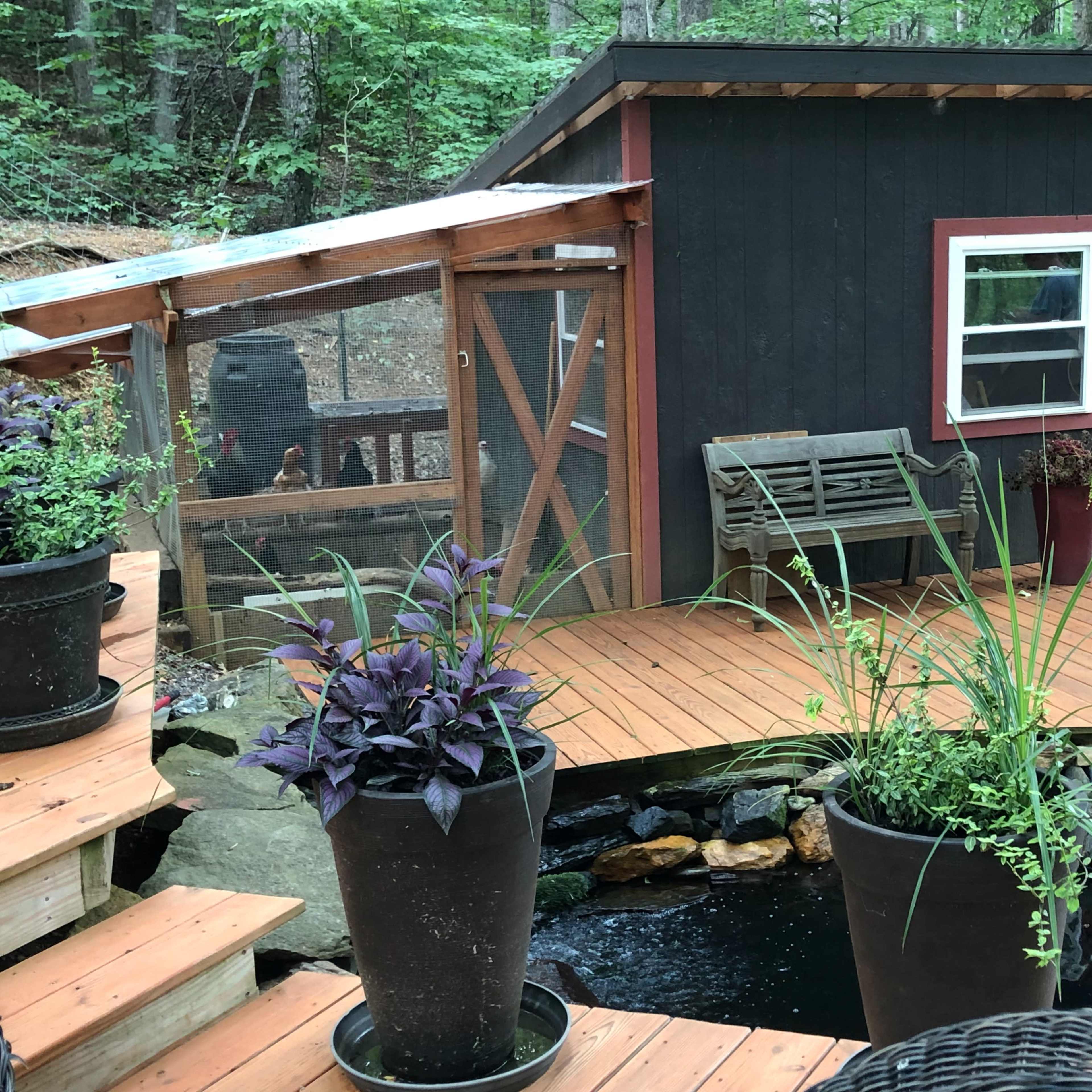 A small black shed with a red door and a screened porch sits on a wooden deck bordered by large potted plants and a pond.