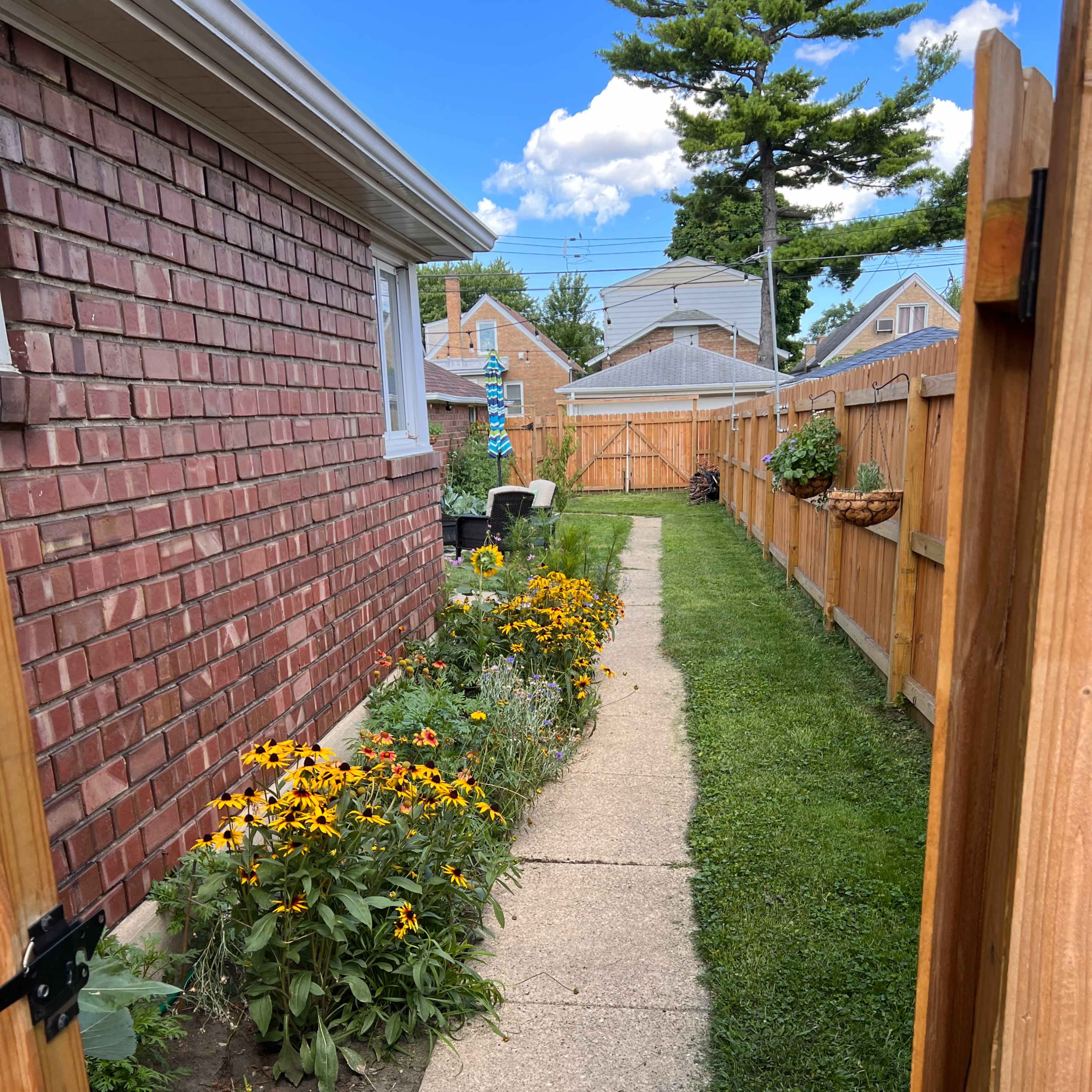 A narrow concrete pathway lined with flower beds leads through a well-maintained backyard surrounded by wooden fences.