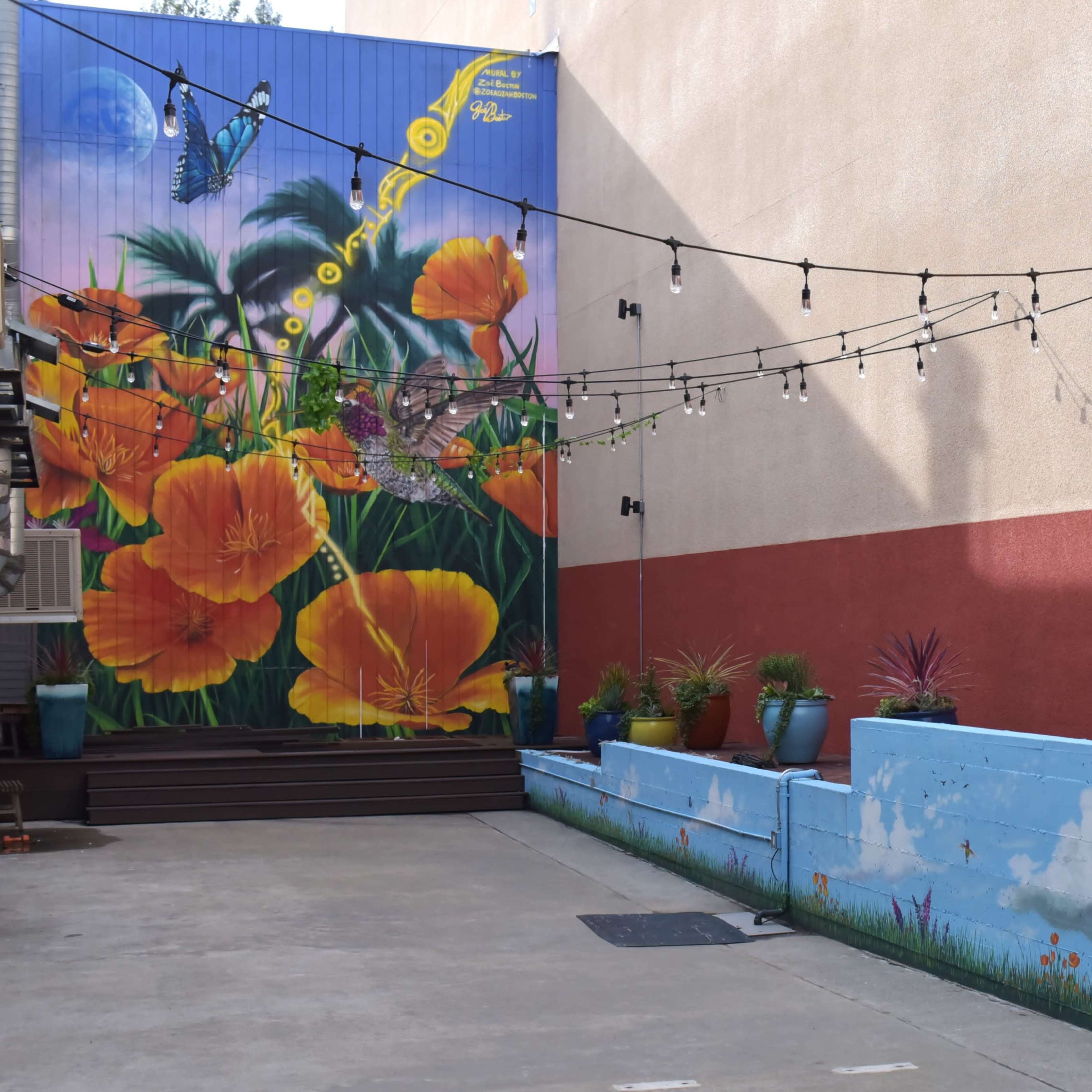 A colorful mural of flowers on a wall, with string lights above and a concrete pathway leading to raised planters along the side.