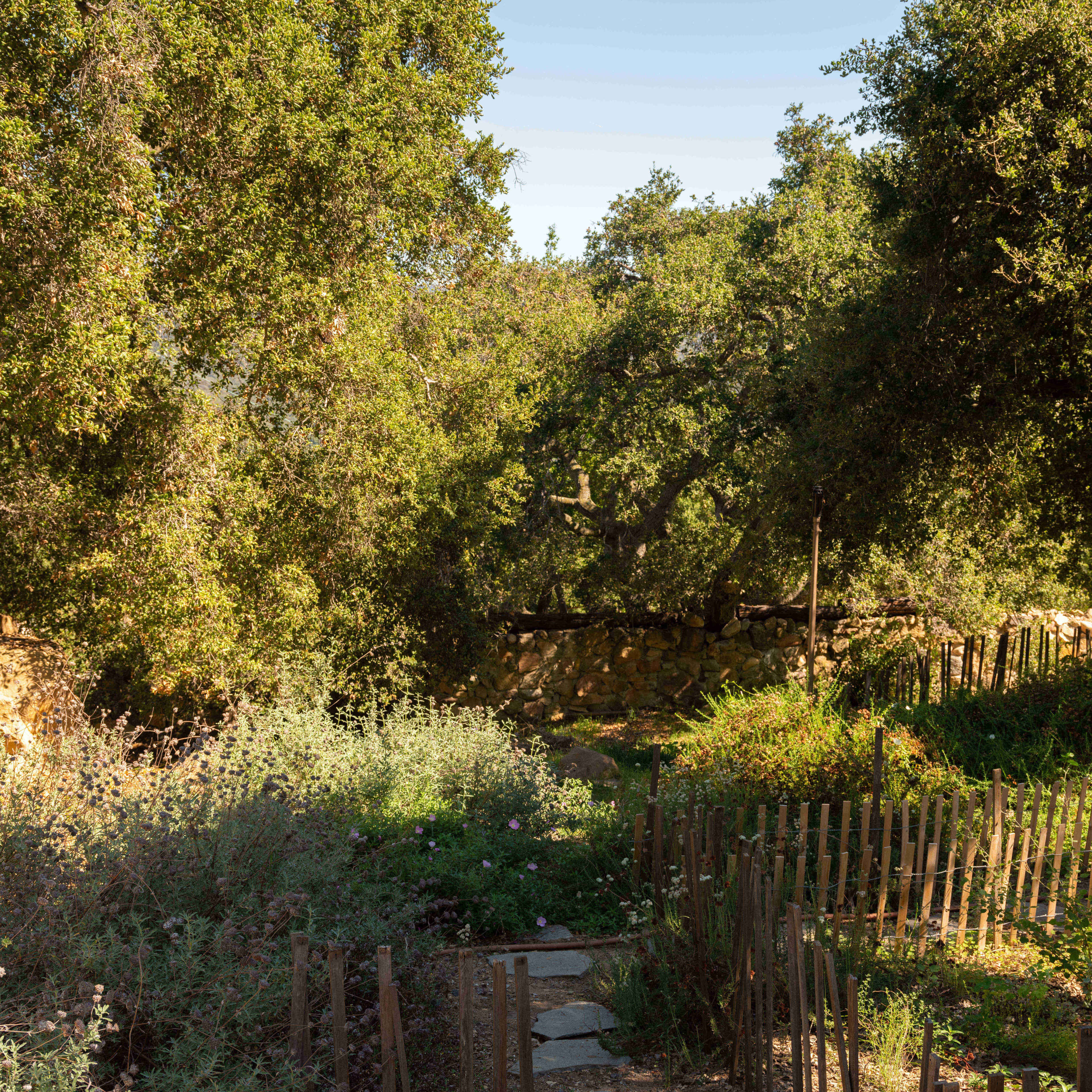 A stone pathway leads through a garden surrounded by dense trees and a wooden fence.