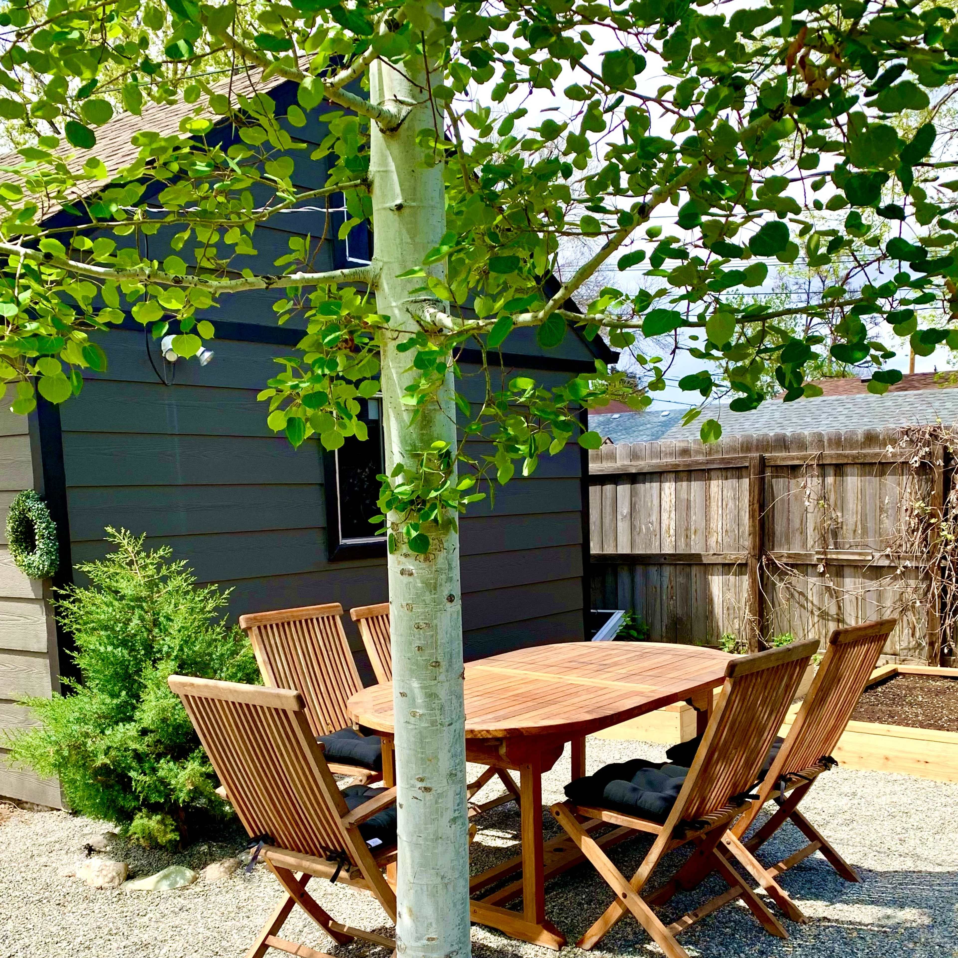 A wooden table surrounded by folding chairs sits on gravel beside a small tree and a wooden building.