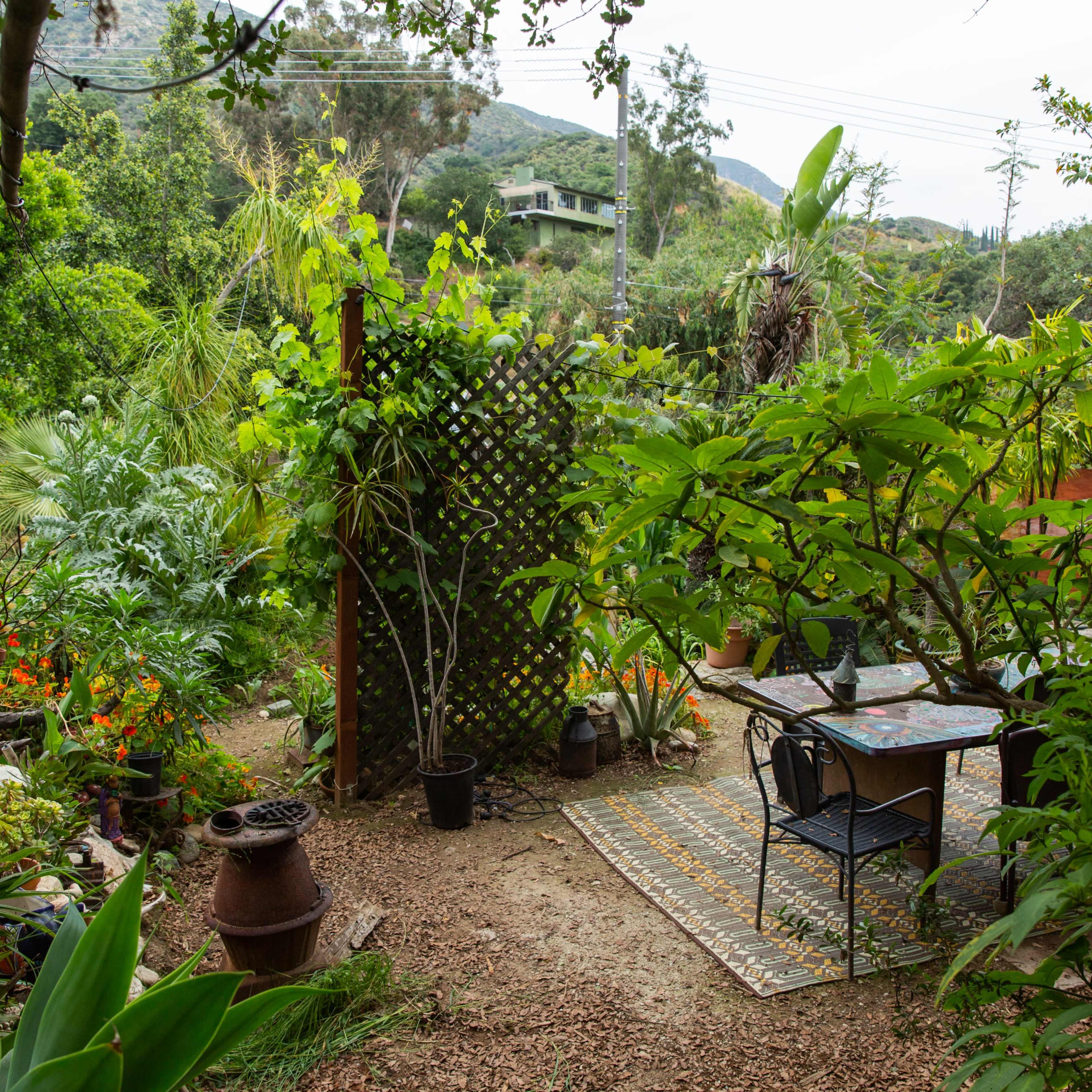 A garden scene features a small table and chairs surrounded by lush greenery, pots, and decorative plants.