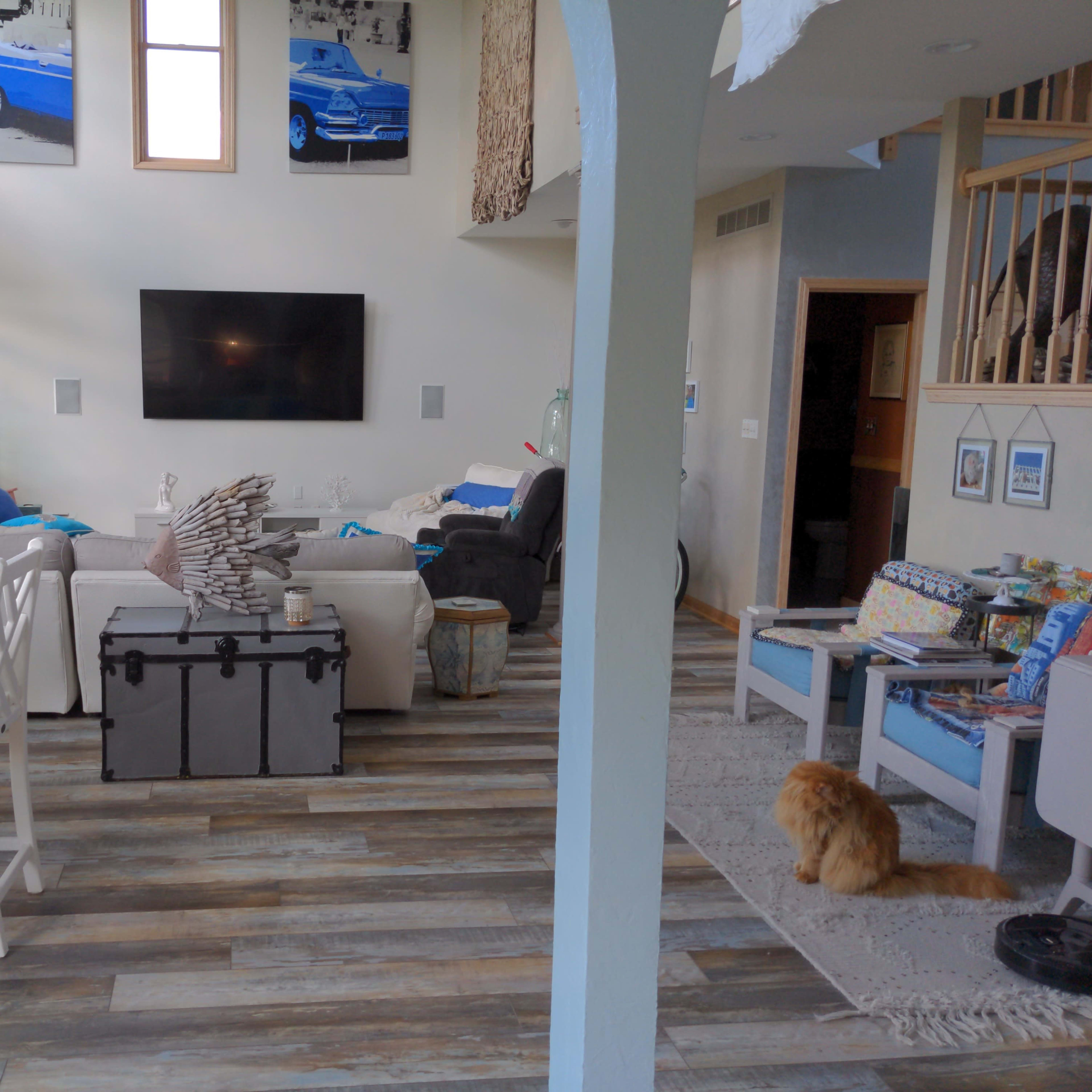 A spacious living room with a mix of modern furniture, wooden flooring, and a large television on the wall, alongside various decorations and a cat sitting on the floor.