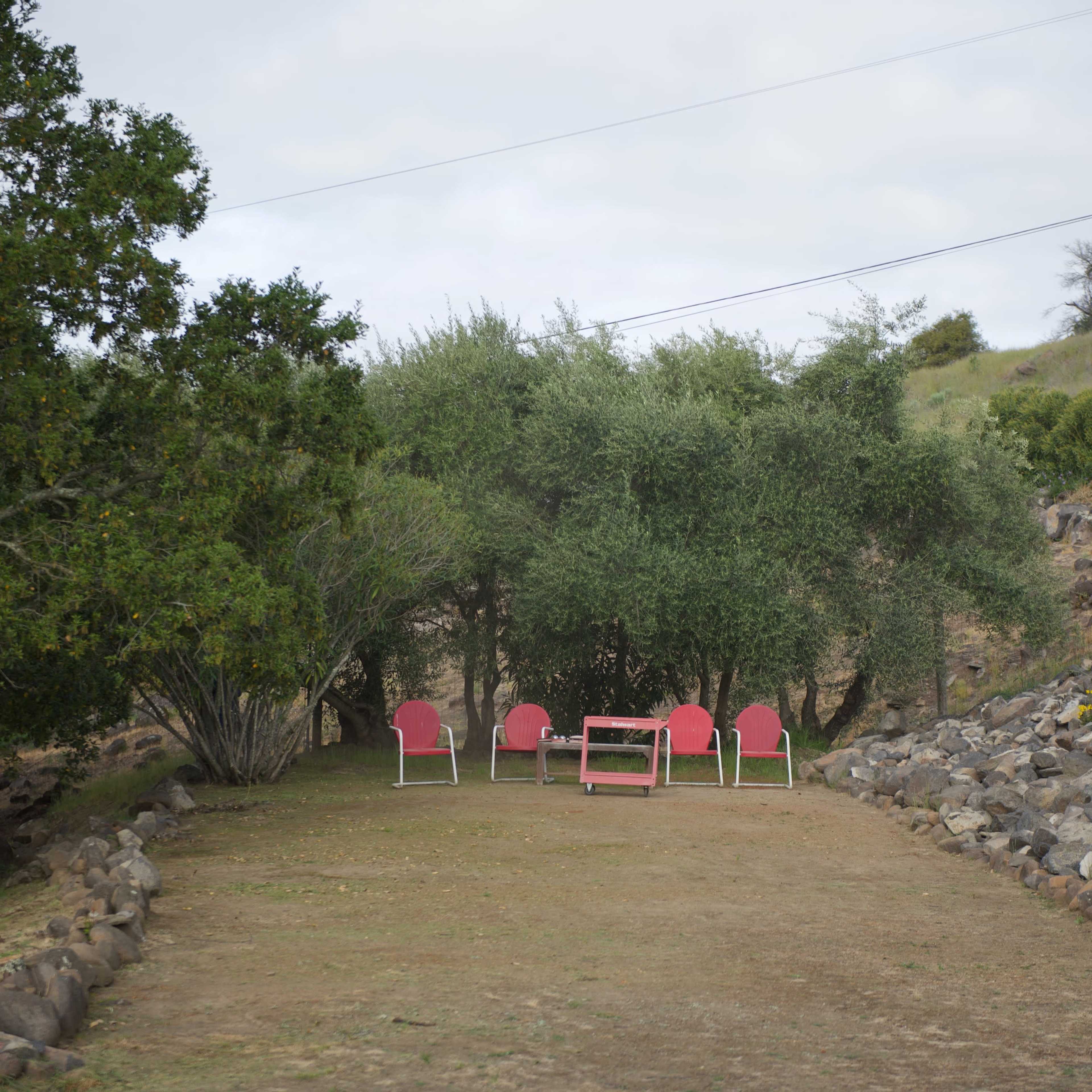 A row of pink chairs and a table are positioned under a cluster of trees along a rocky pathway.