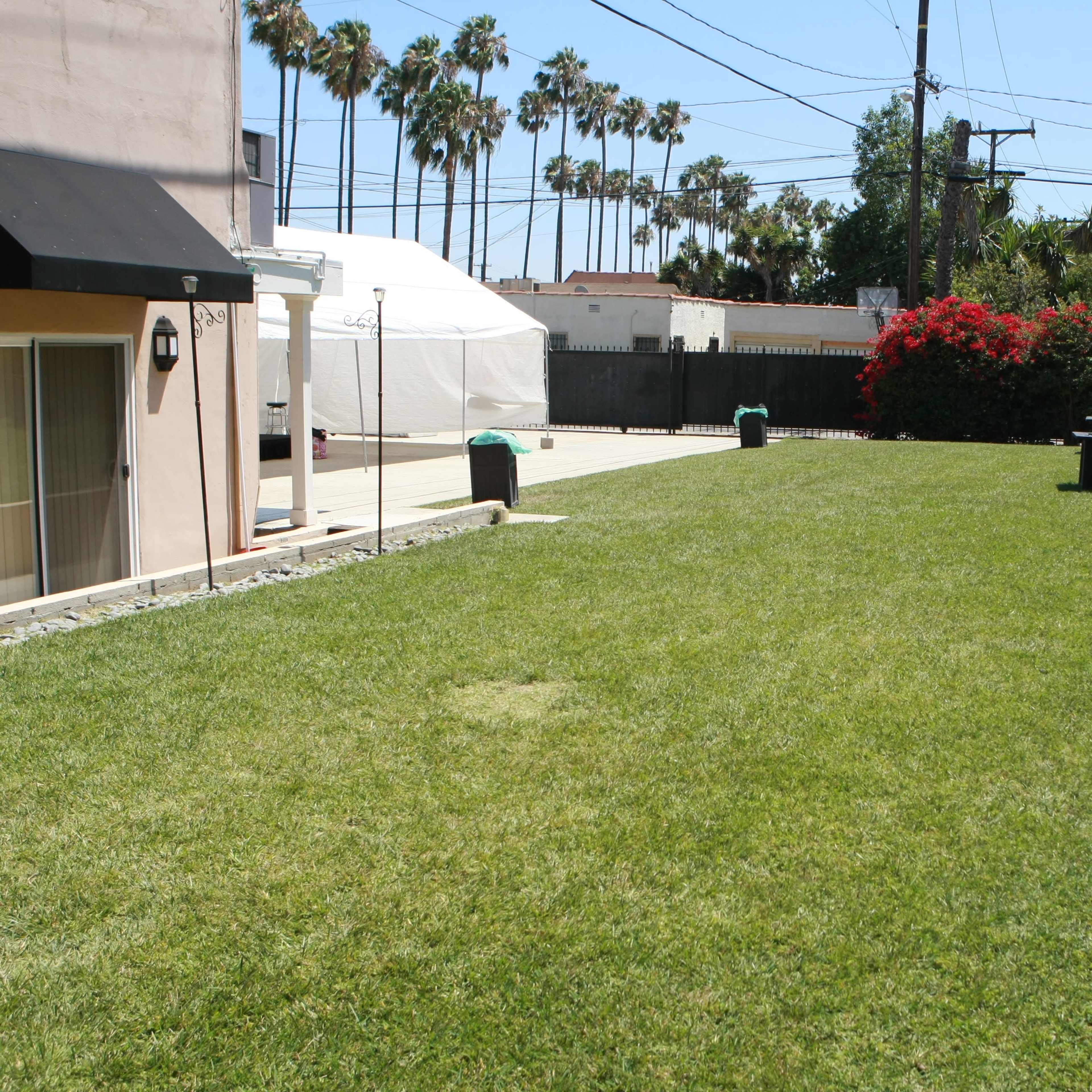 A well-maintained grassy yard bordered by a hedge and palm trees in the background.