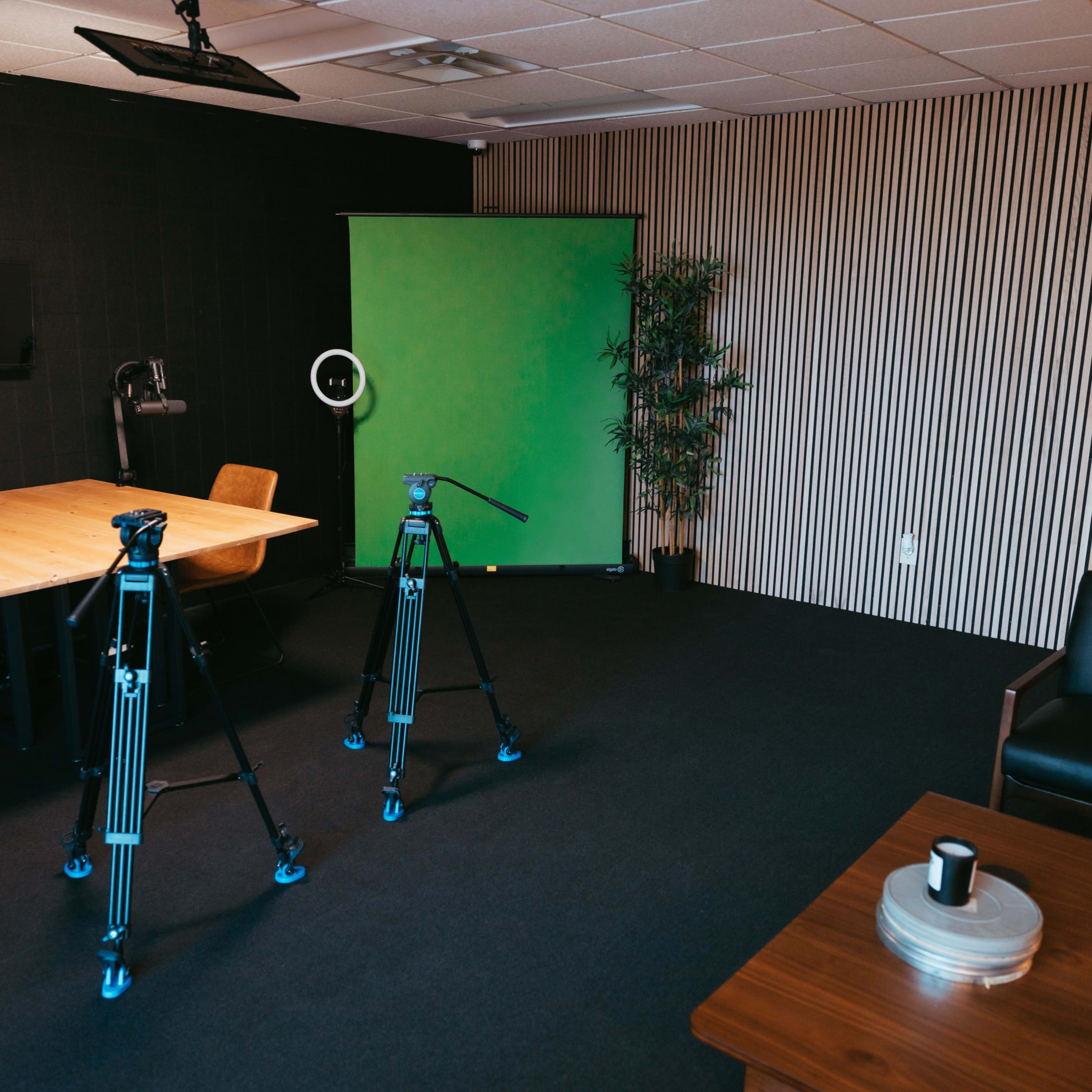 A studio setup with a table and chairs, two tripod-mounted cameras, a green screen, and a potted plant in a room with dark walls and striped wallpaper.